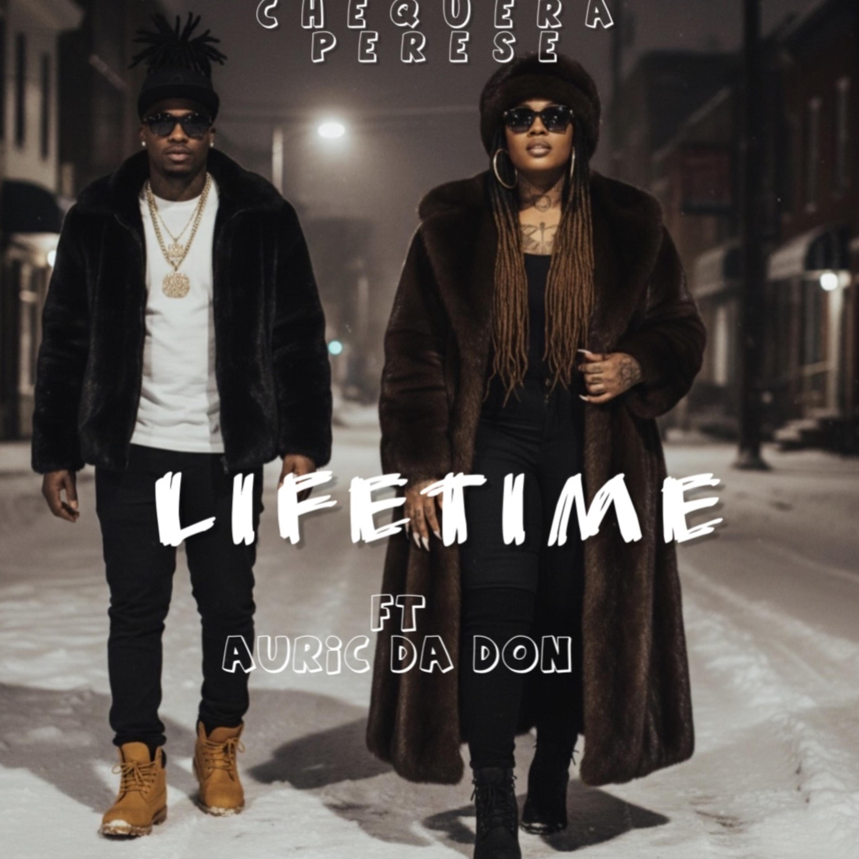 Lifetime artwork