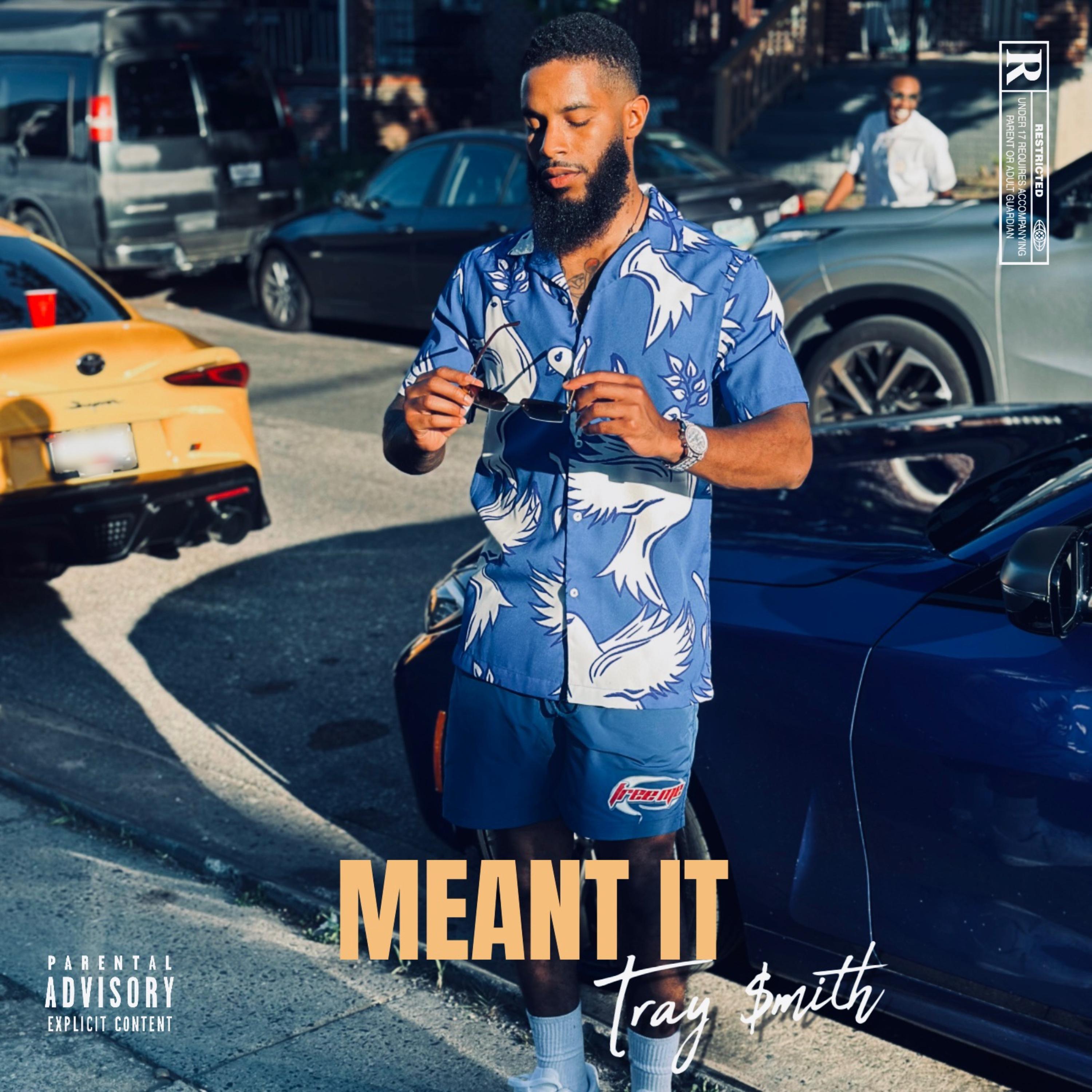 MEANT IT artwork