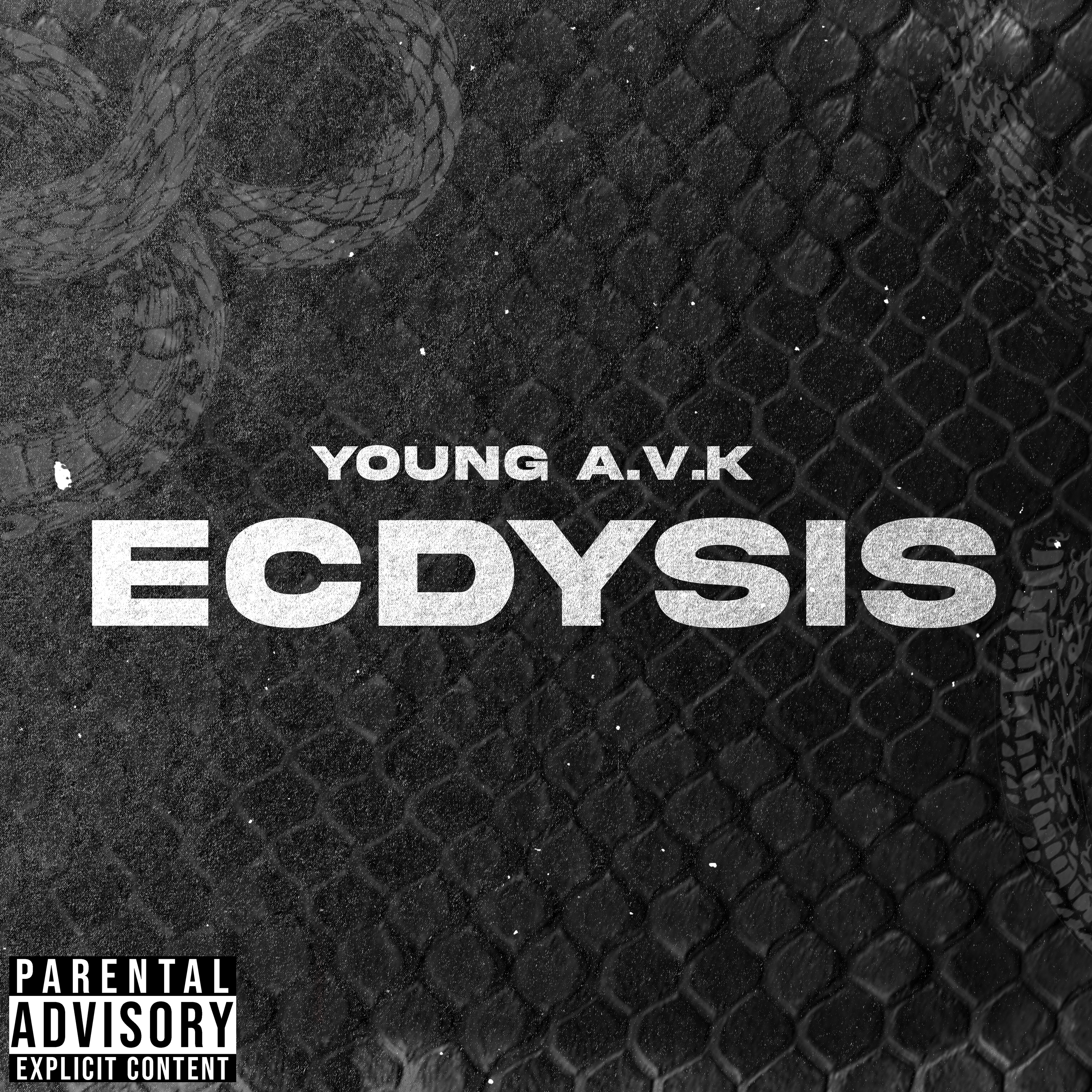 ECDYSIS artwork
