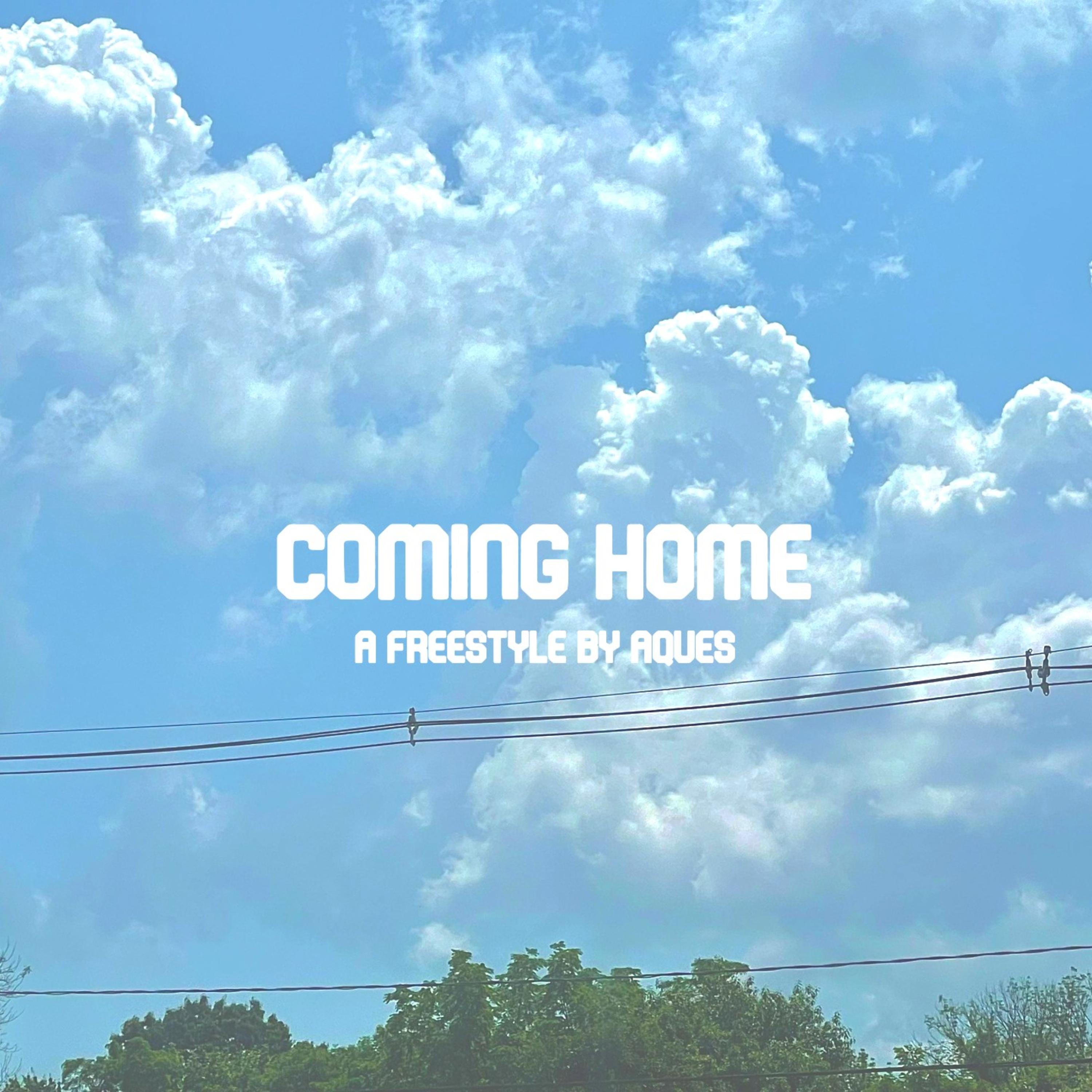 Coming Home (Freestyle) artwork