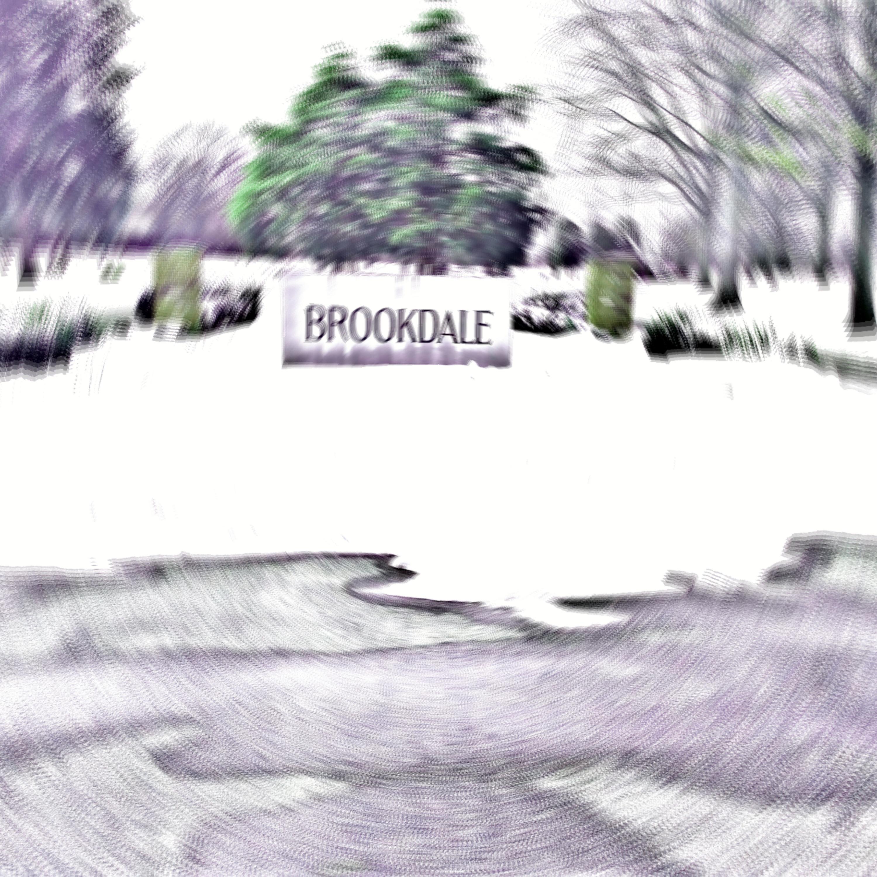 Brookdale artwork