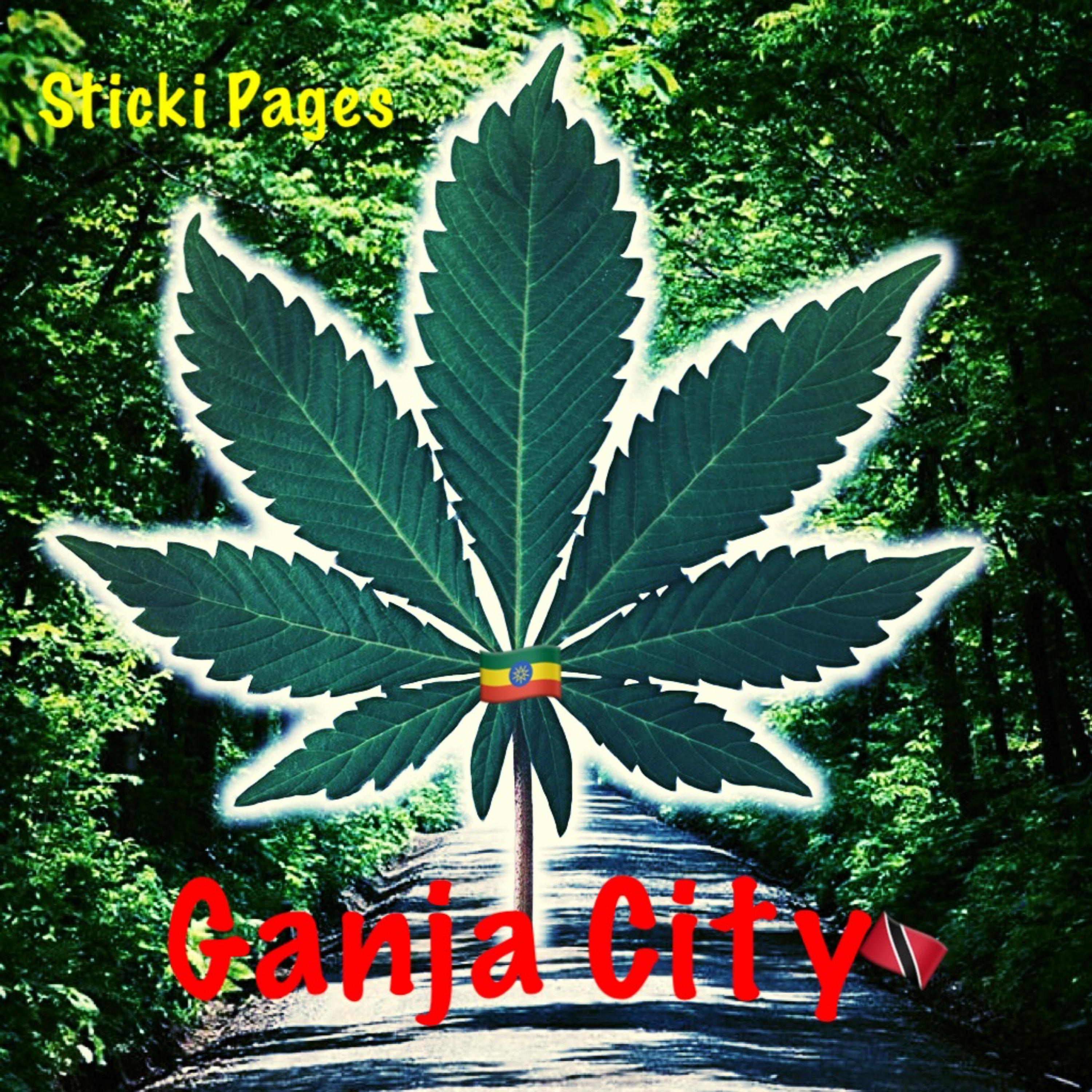 Ganja City by Sticki Pages cover art
