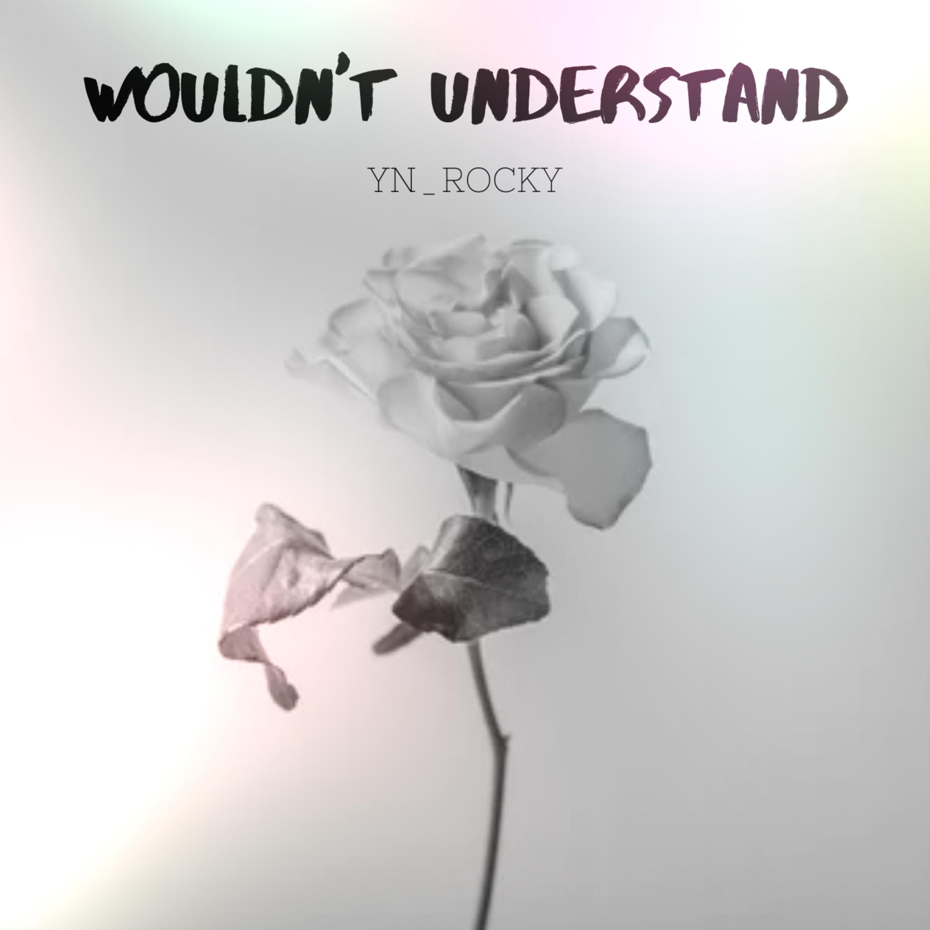 WOULDN'T UNDERSTAND artwork