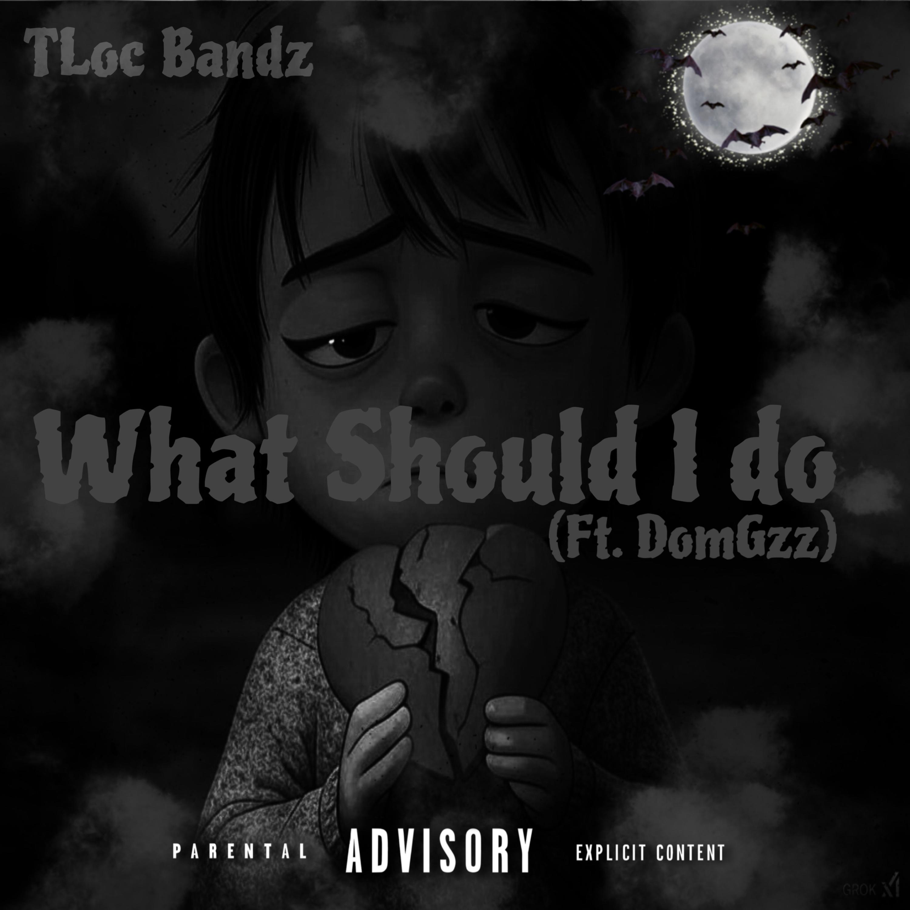 What Should I Do artwork