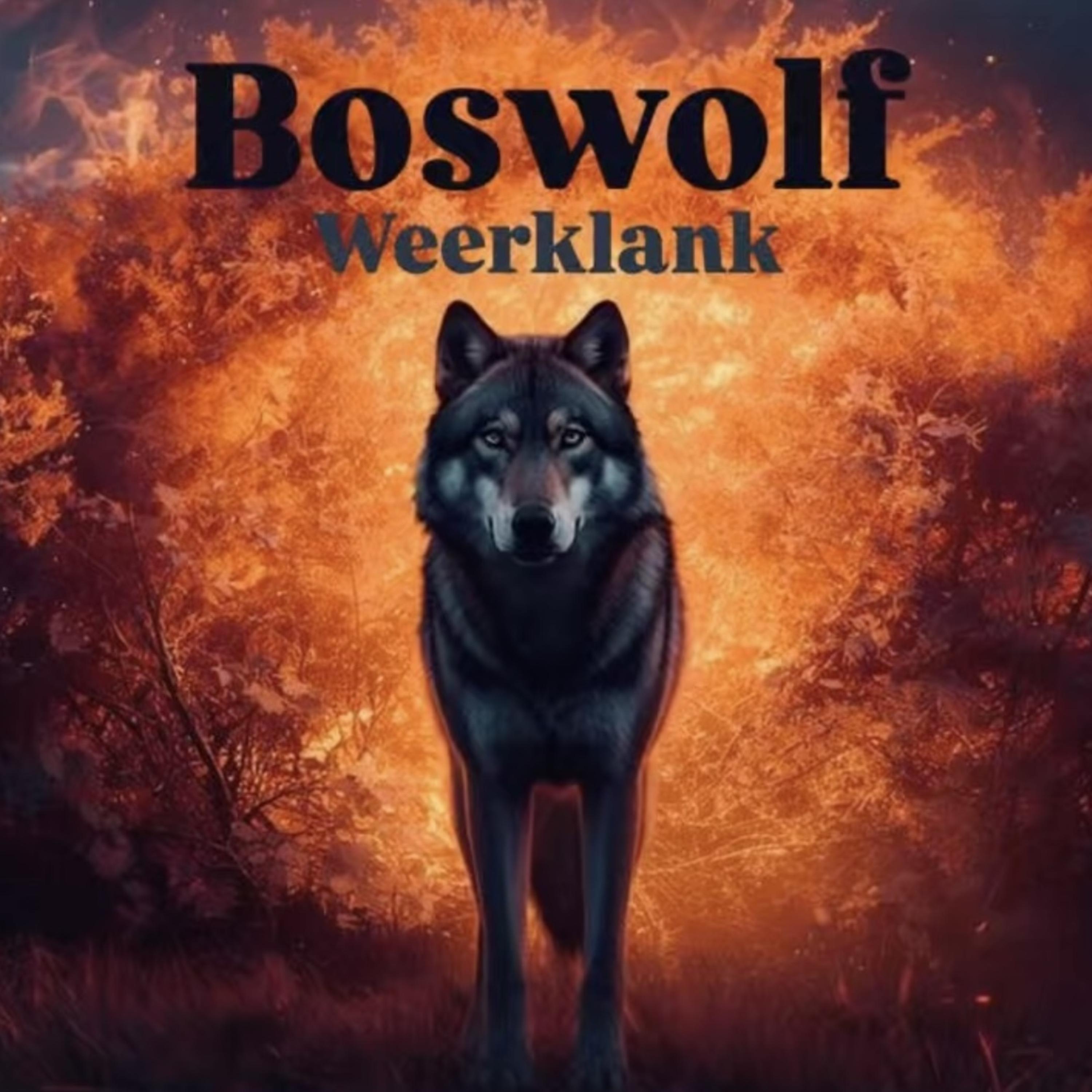 Weerklank artwork
