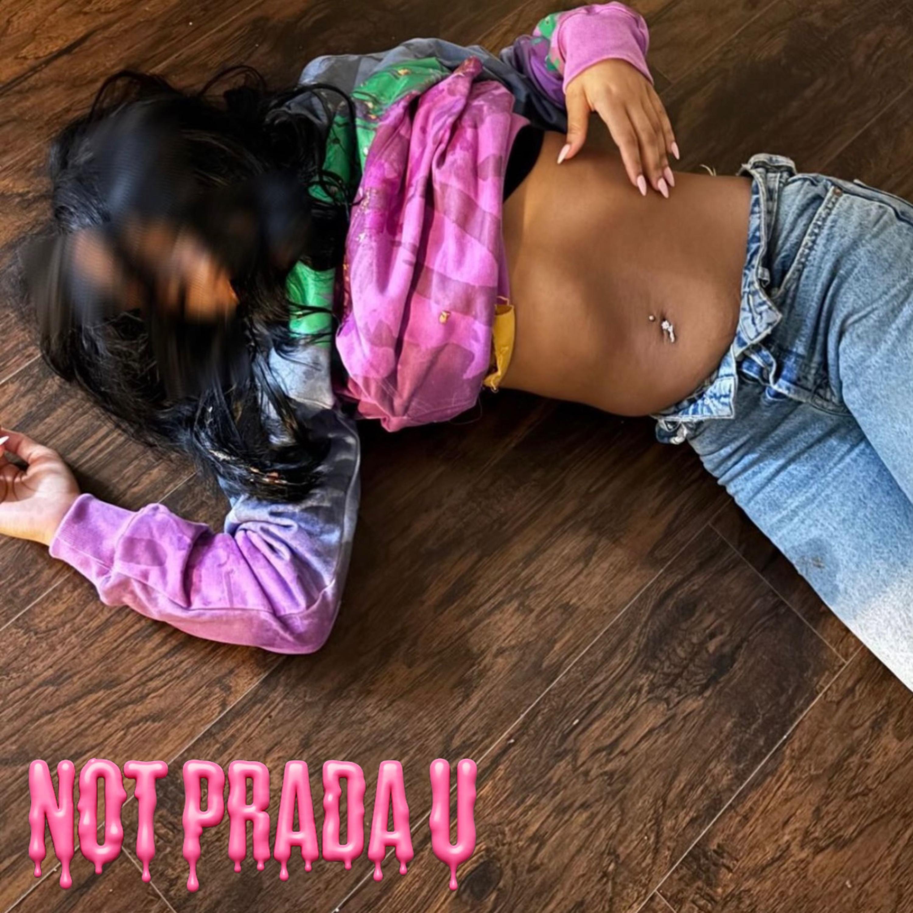 NOT PRADA U artwork