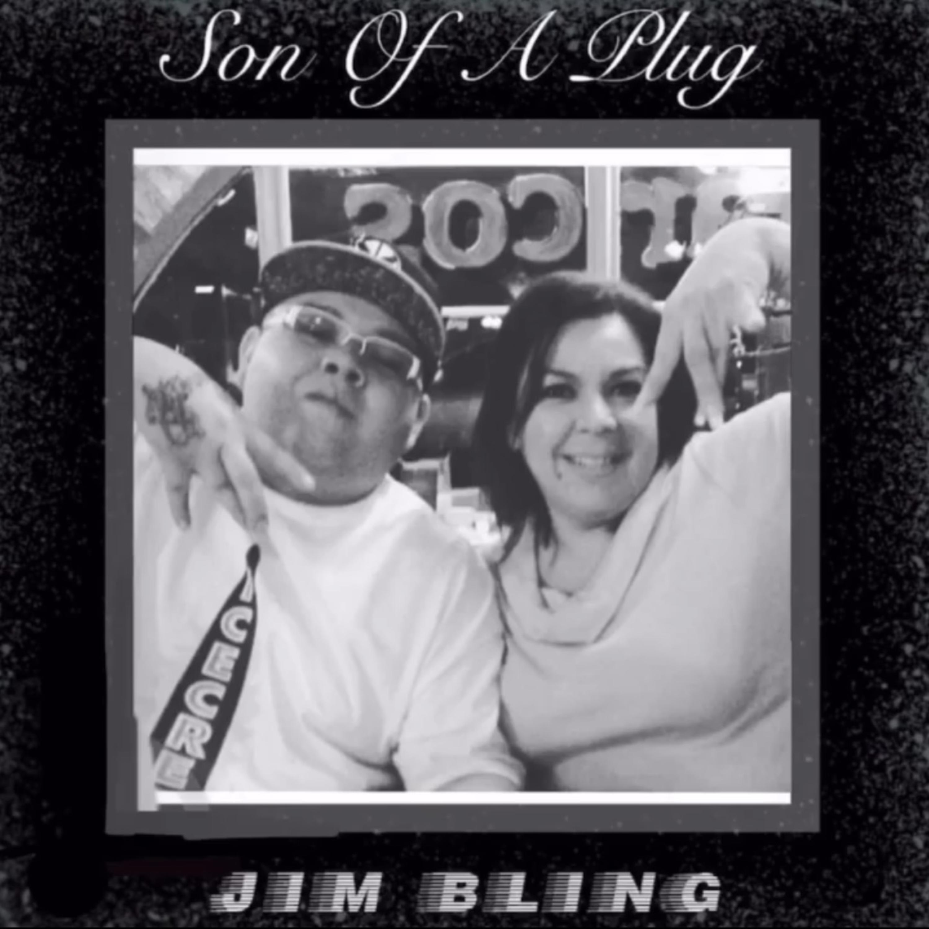 Son Of A Plug artwork