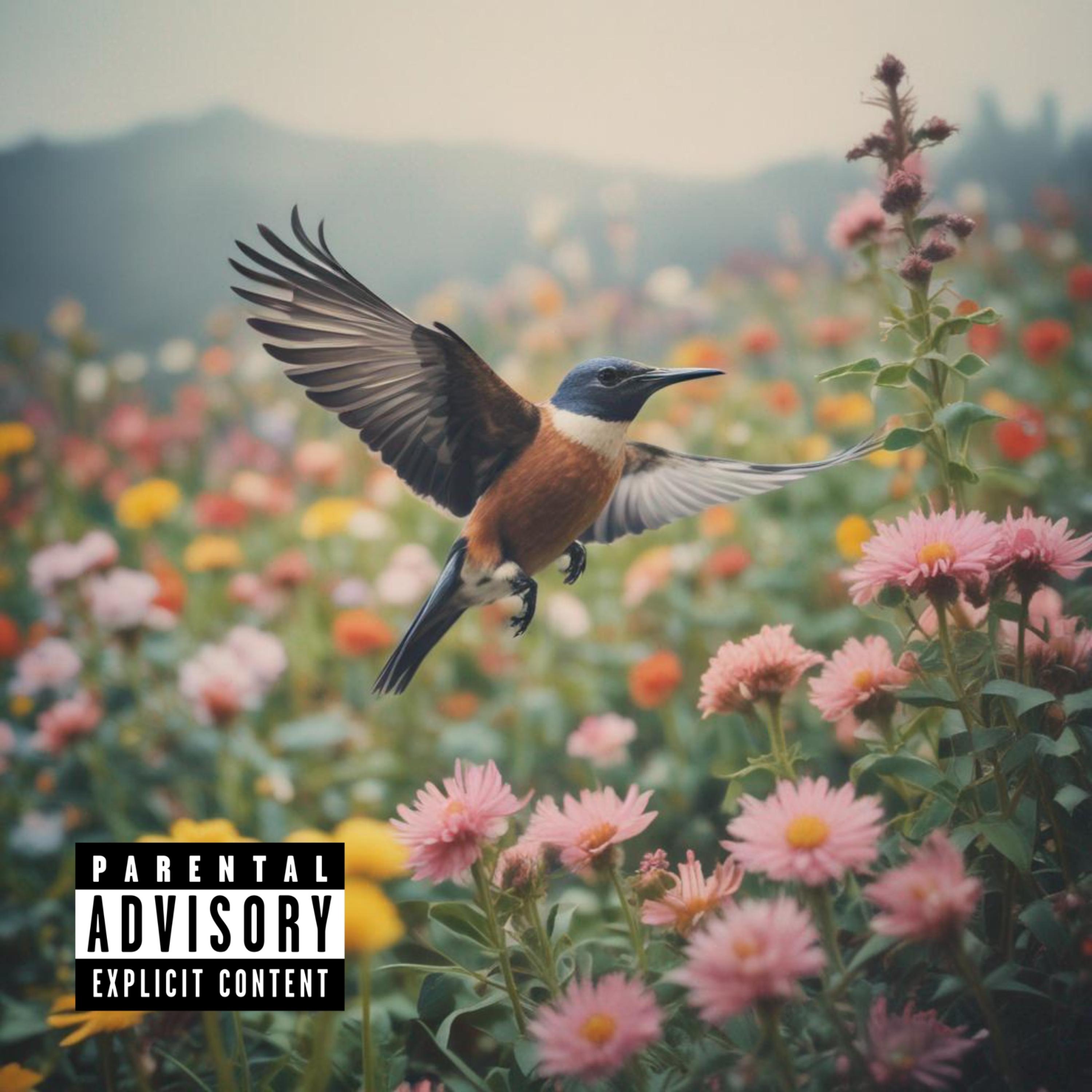 Sonic Bloom artwork