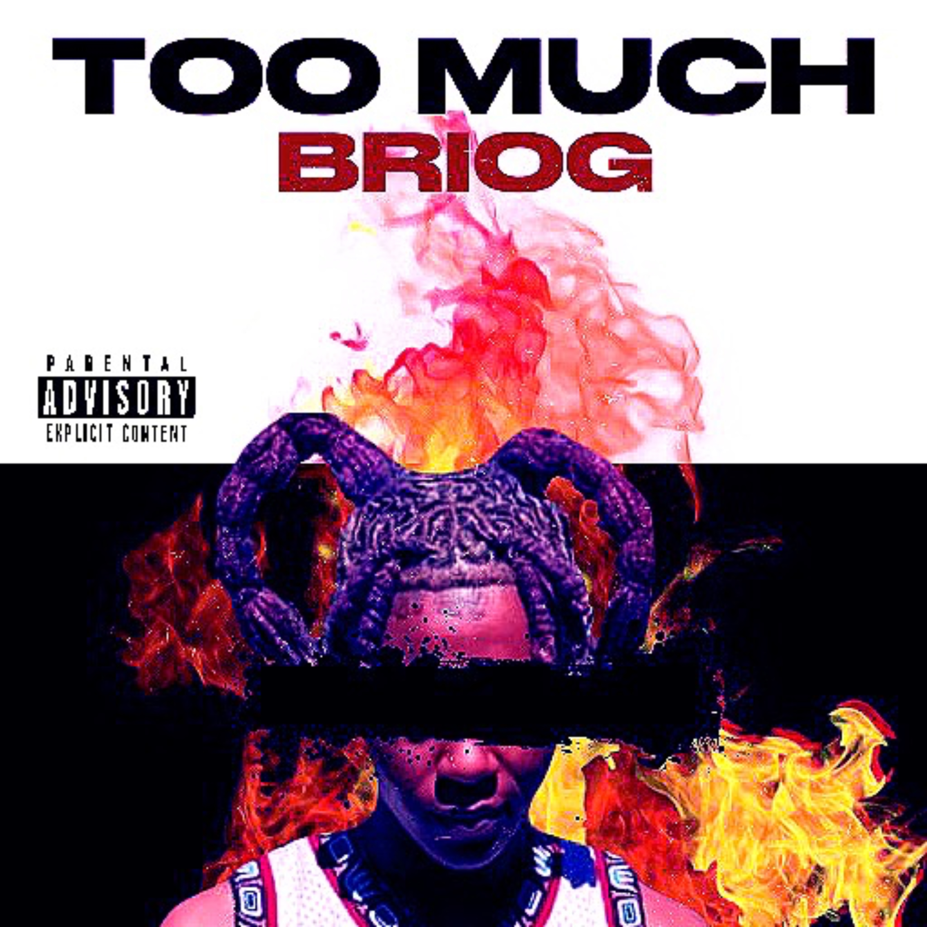 TOO MUCH artwork