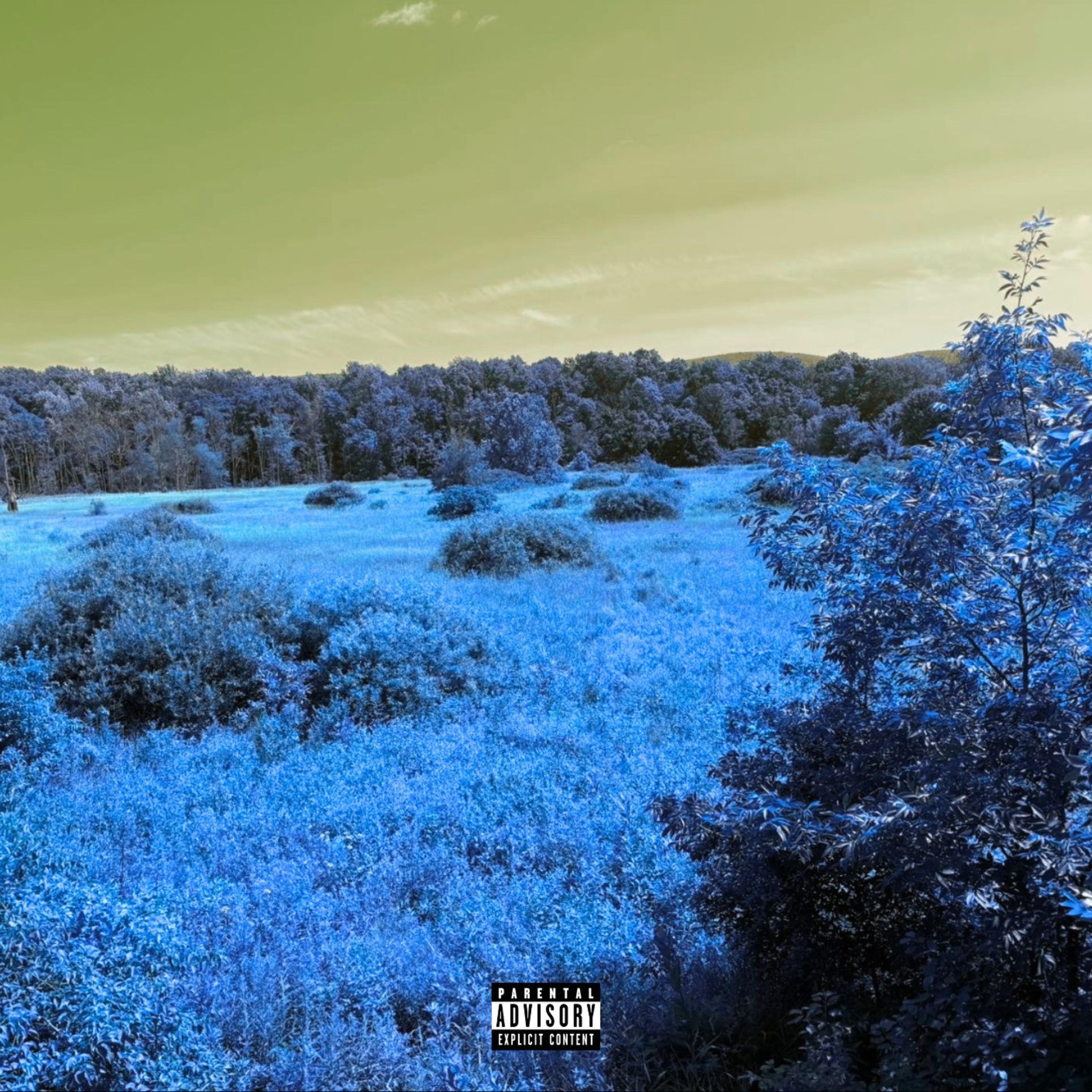2Punk by wheredidevango cover art