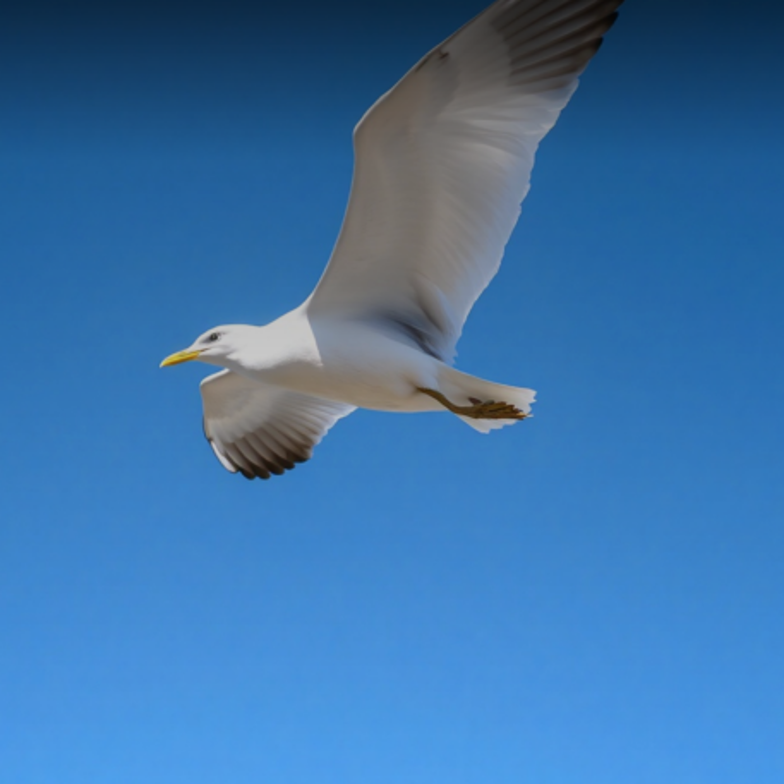 LLORAN LOS PADRES artwork