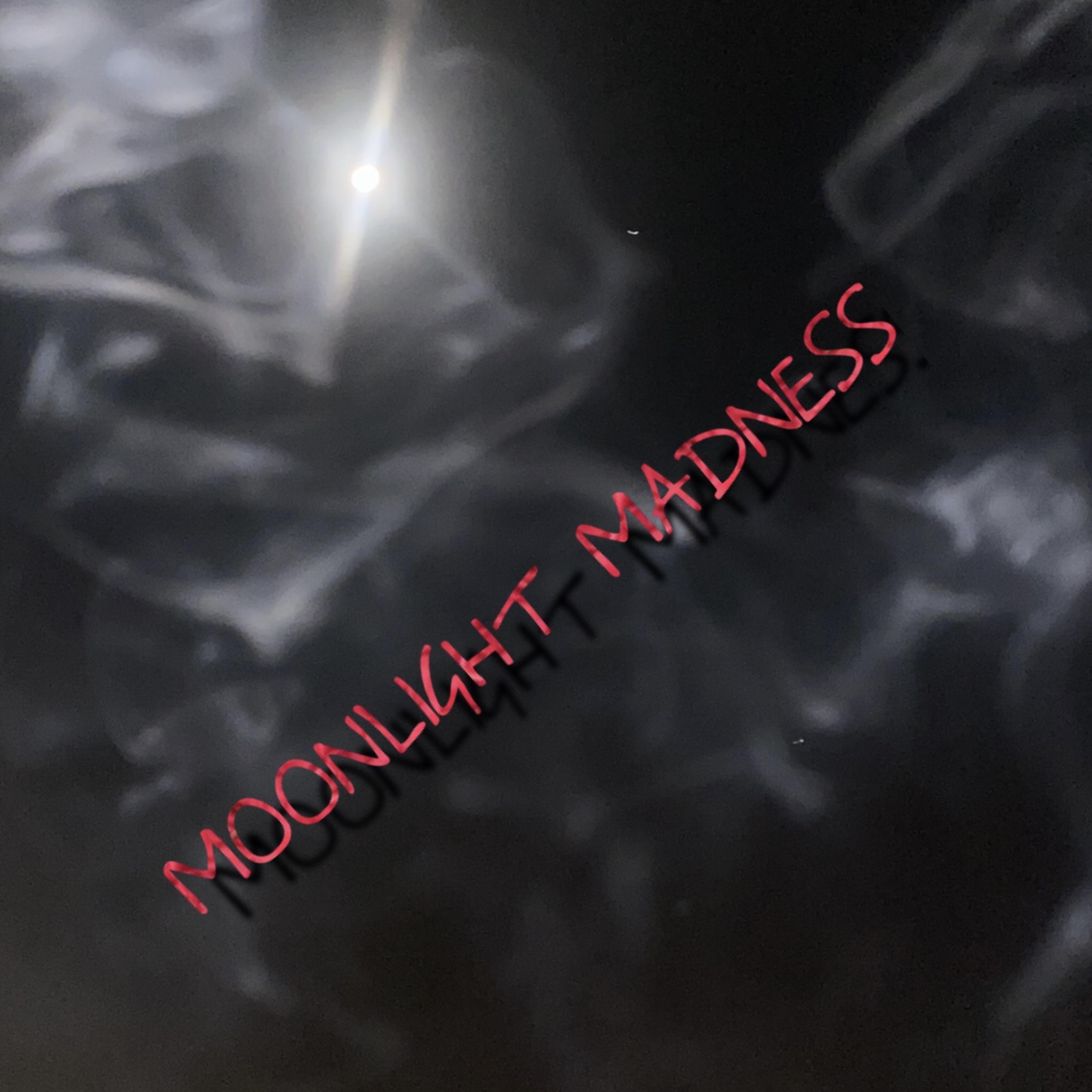 Moonlight Madness artwork