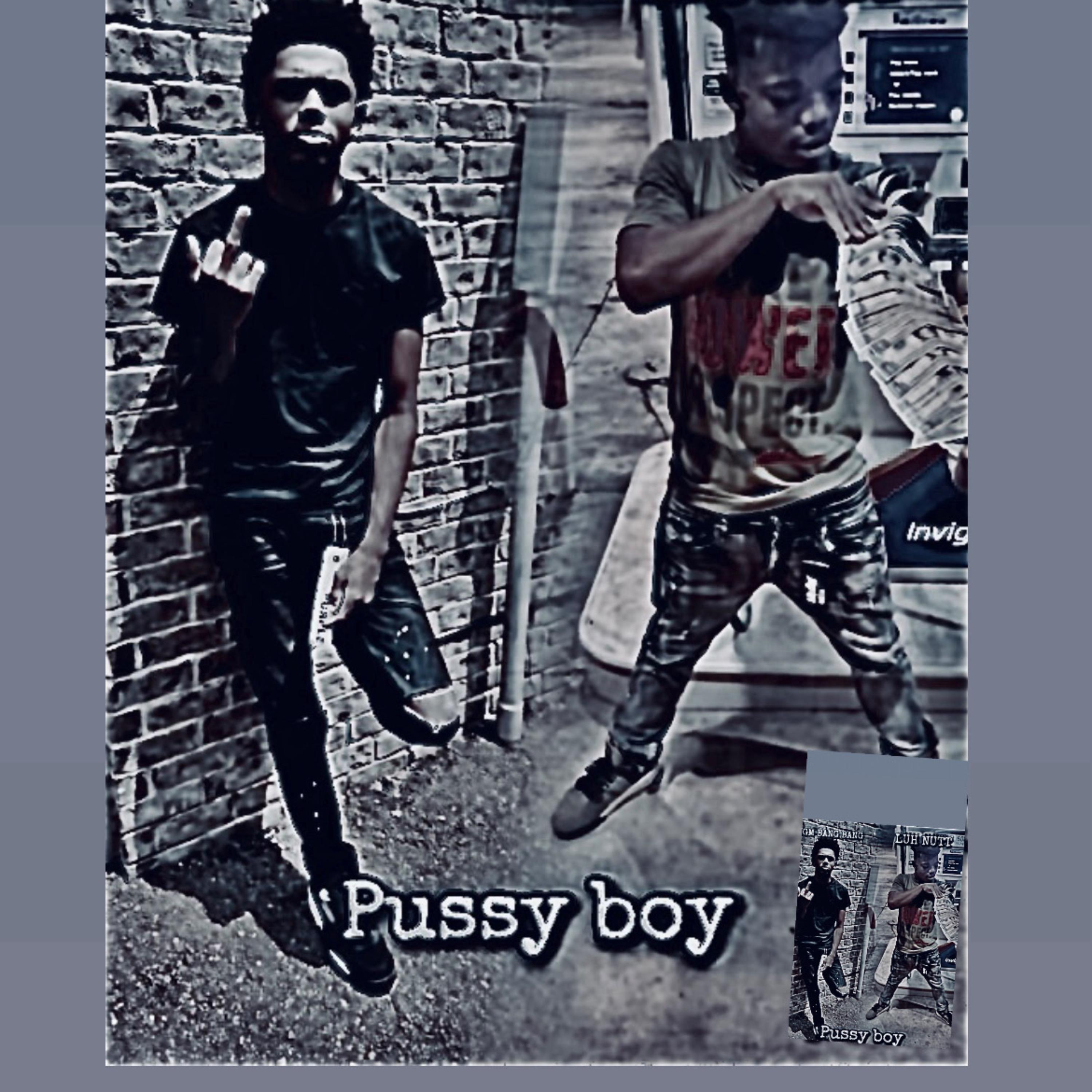 Bully artwork