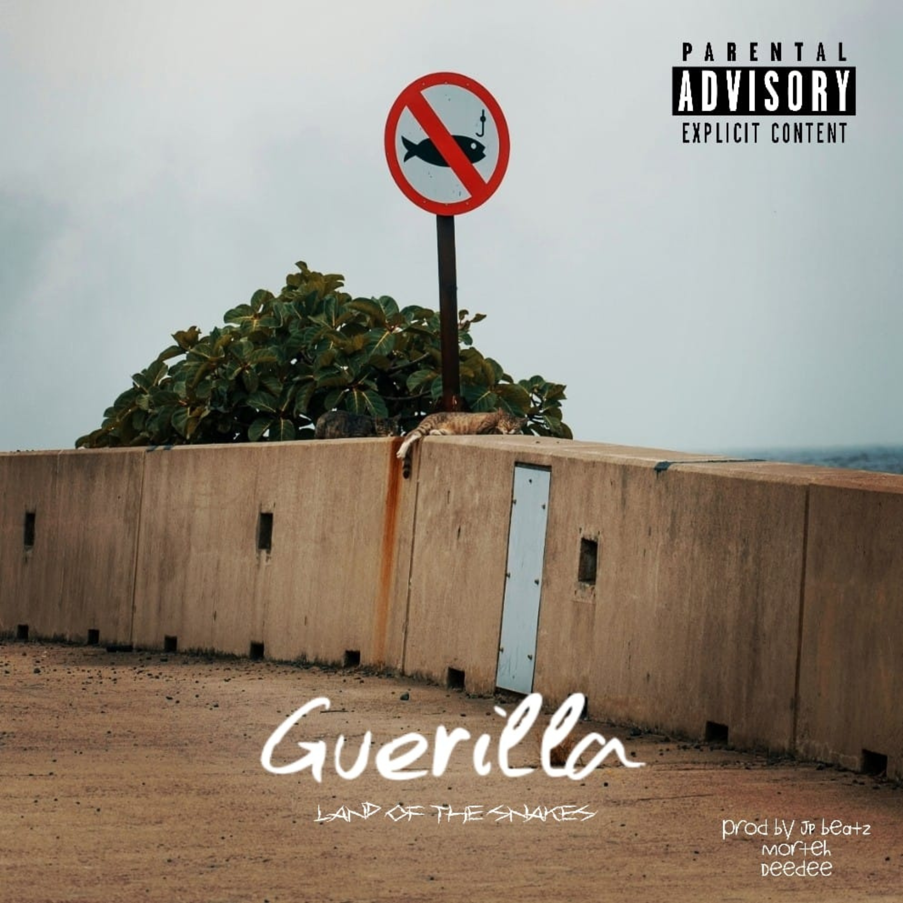 Guerilla artwork