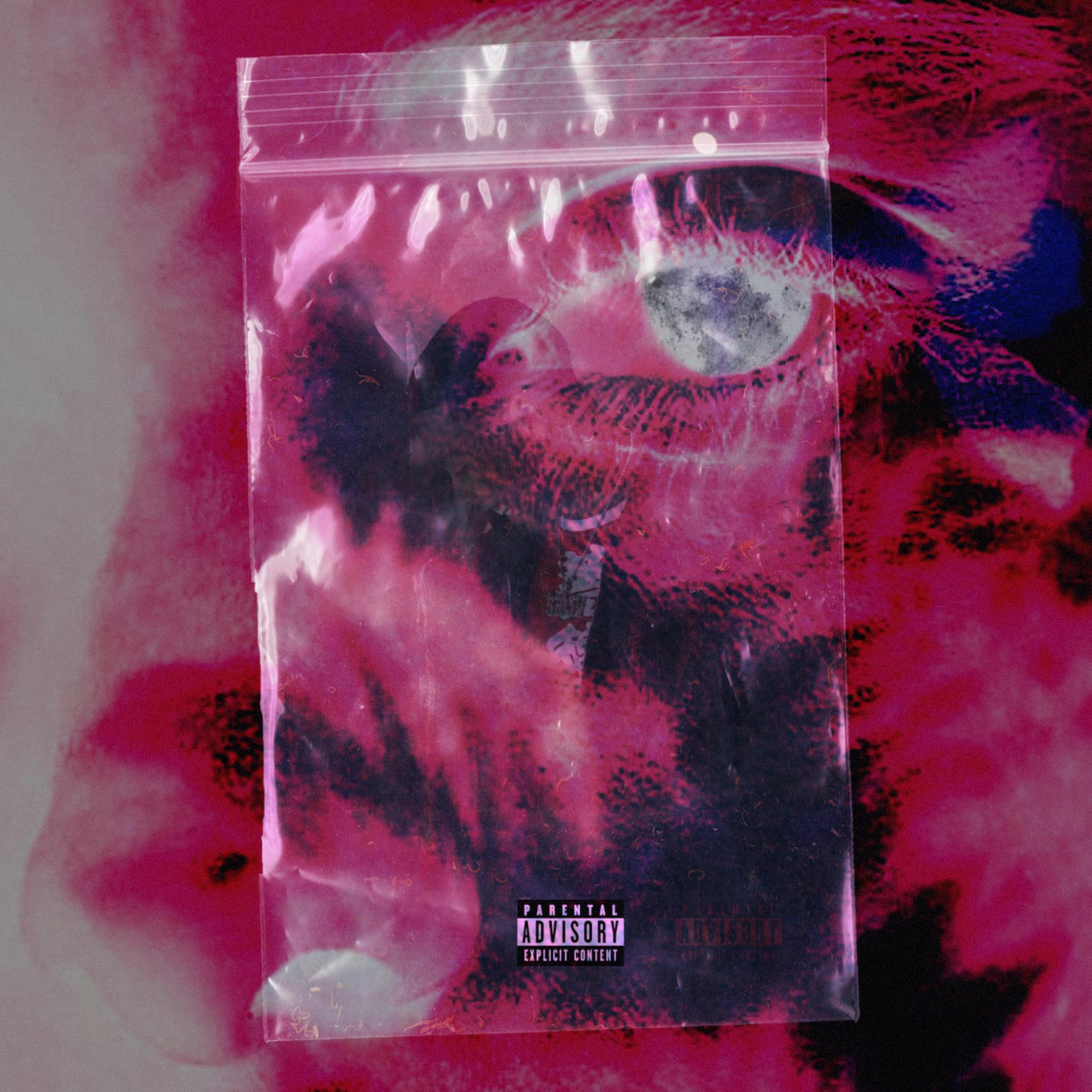 Strictly For The Fans artwork