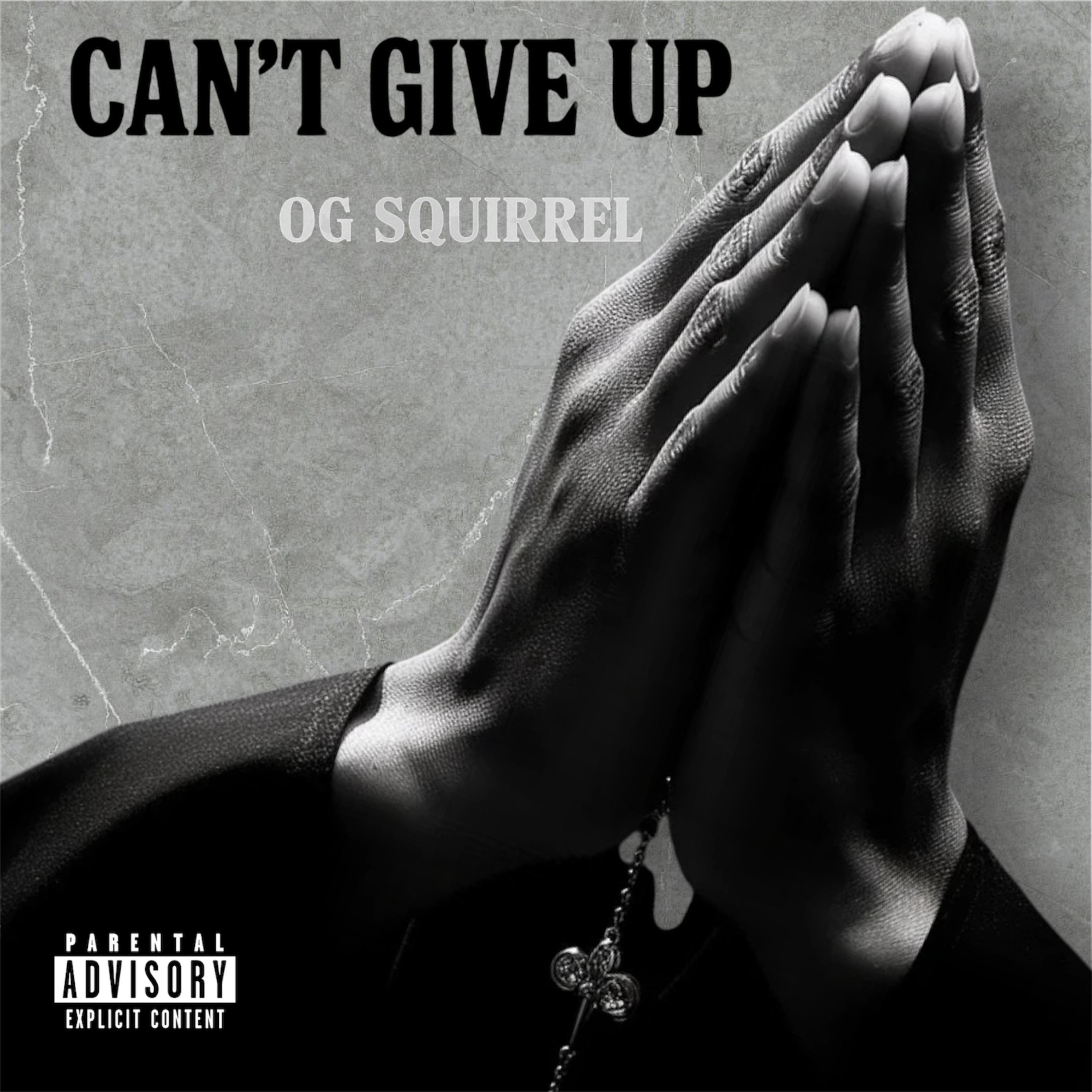 CAN’T GIVE UP artwork