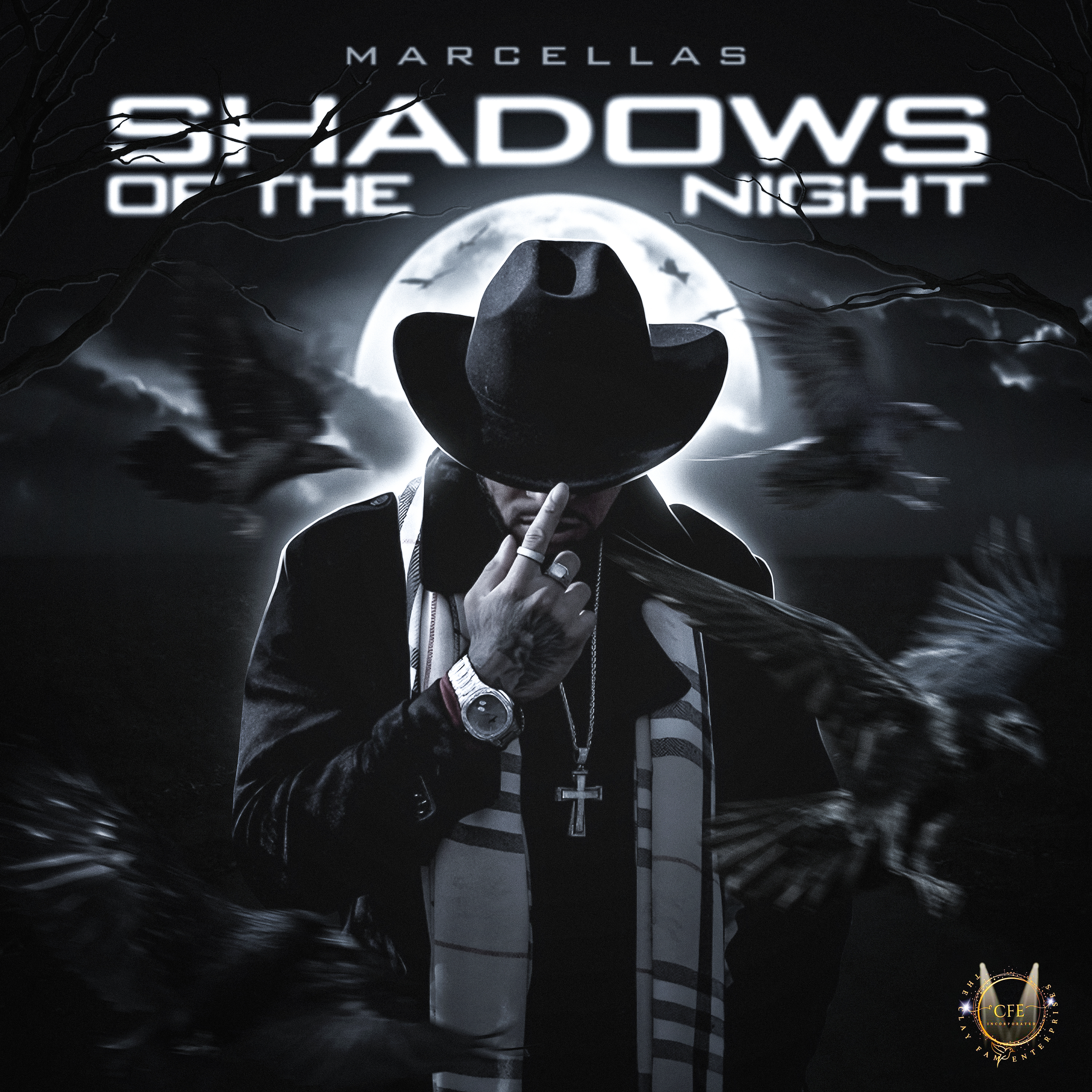 Shadows Of The Night artwork