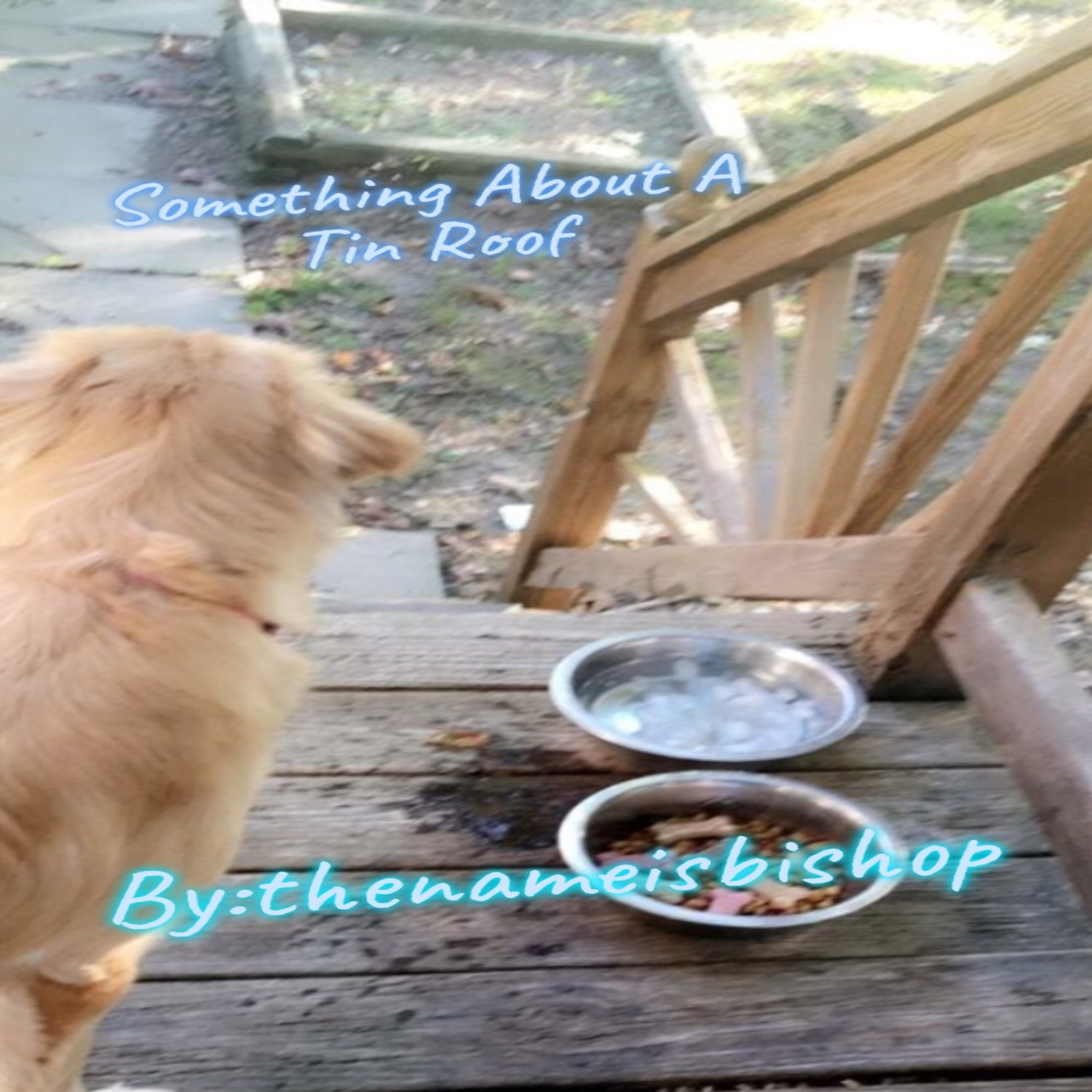 Something About A Tin Roof artwork