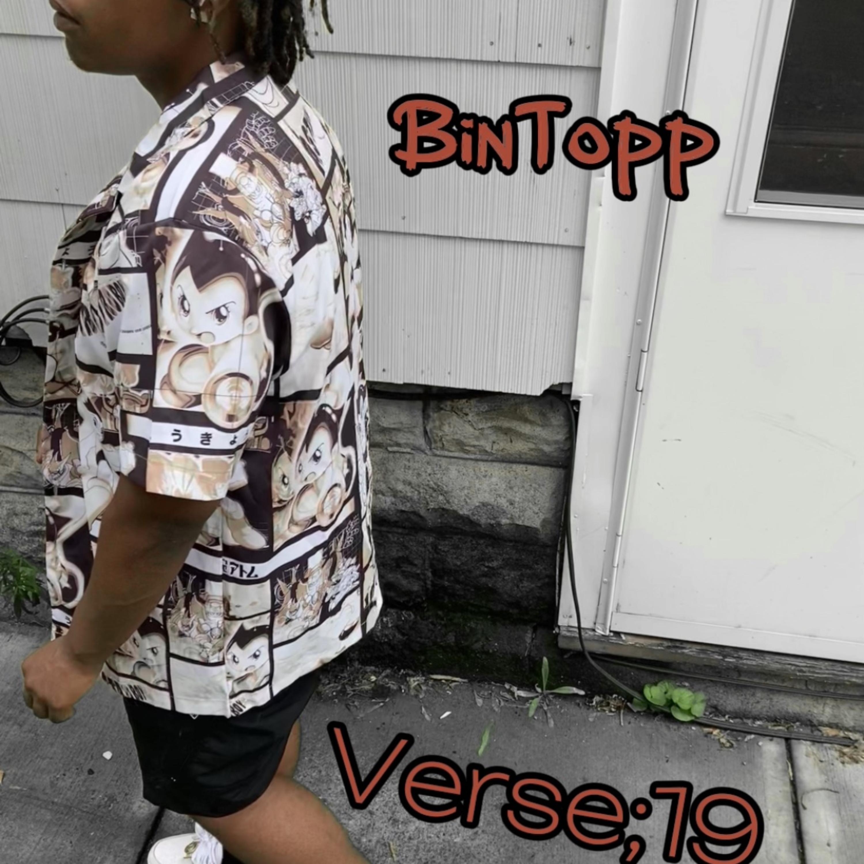 Verse;19 artwork