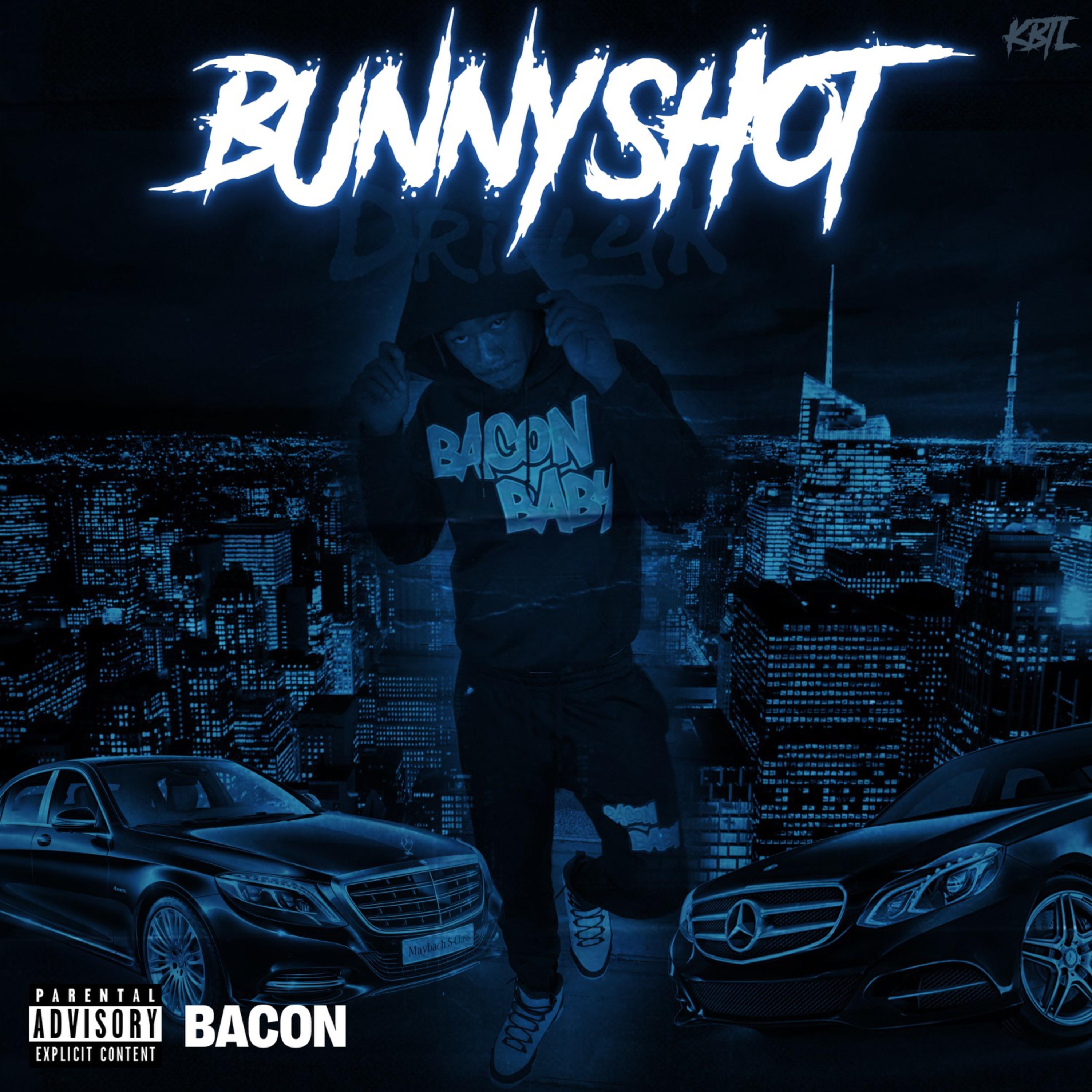 Bunnyshot artwork