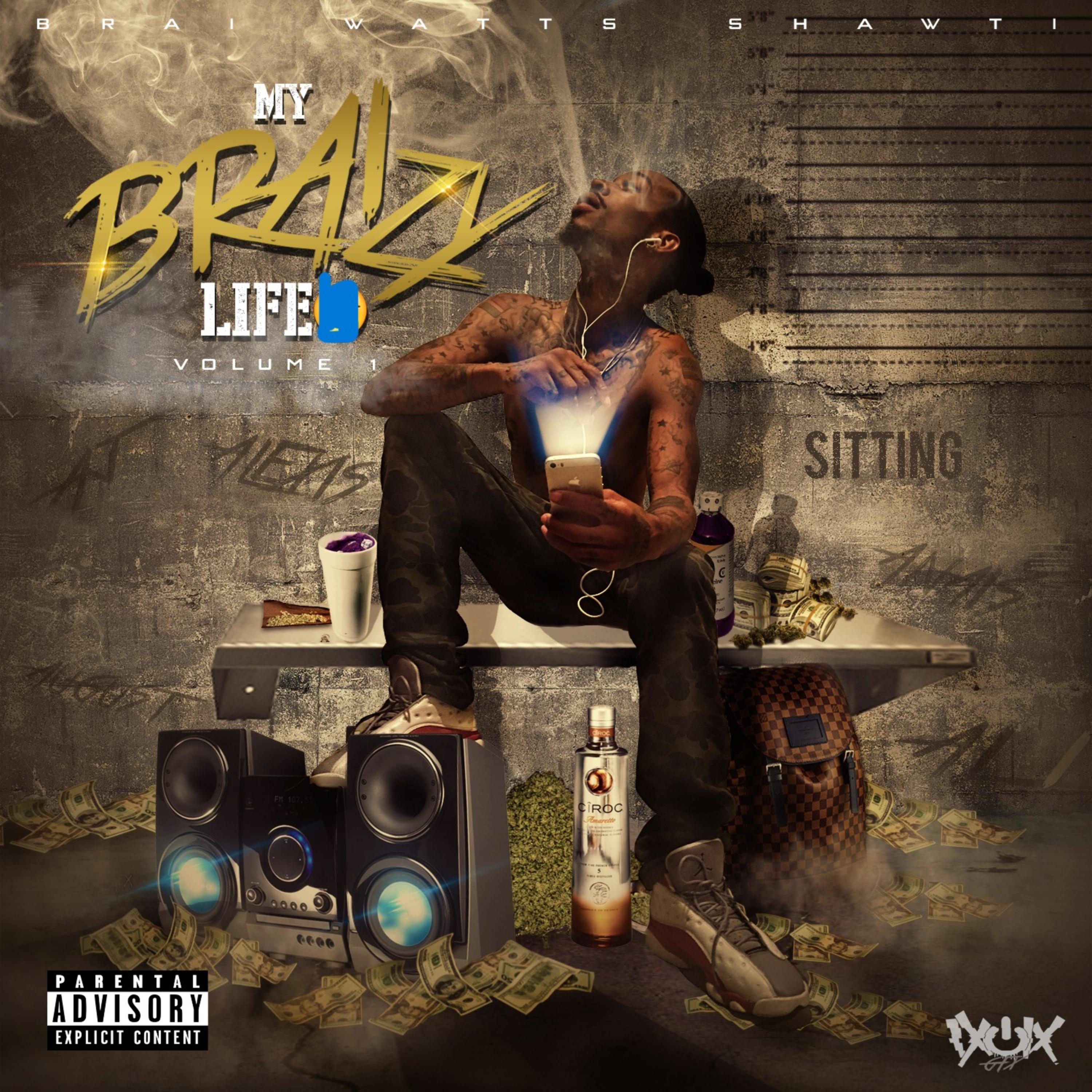 My BRAIzy Life, Vol 1 by Brai Watts Shawti cover art