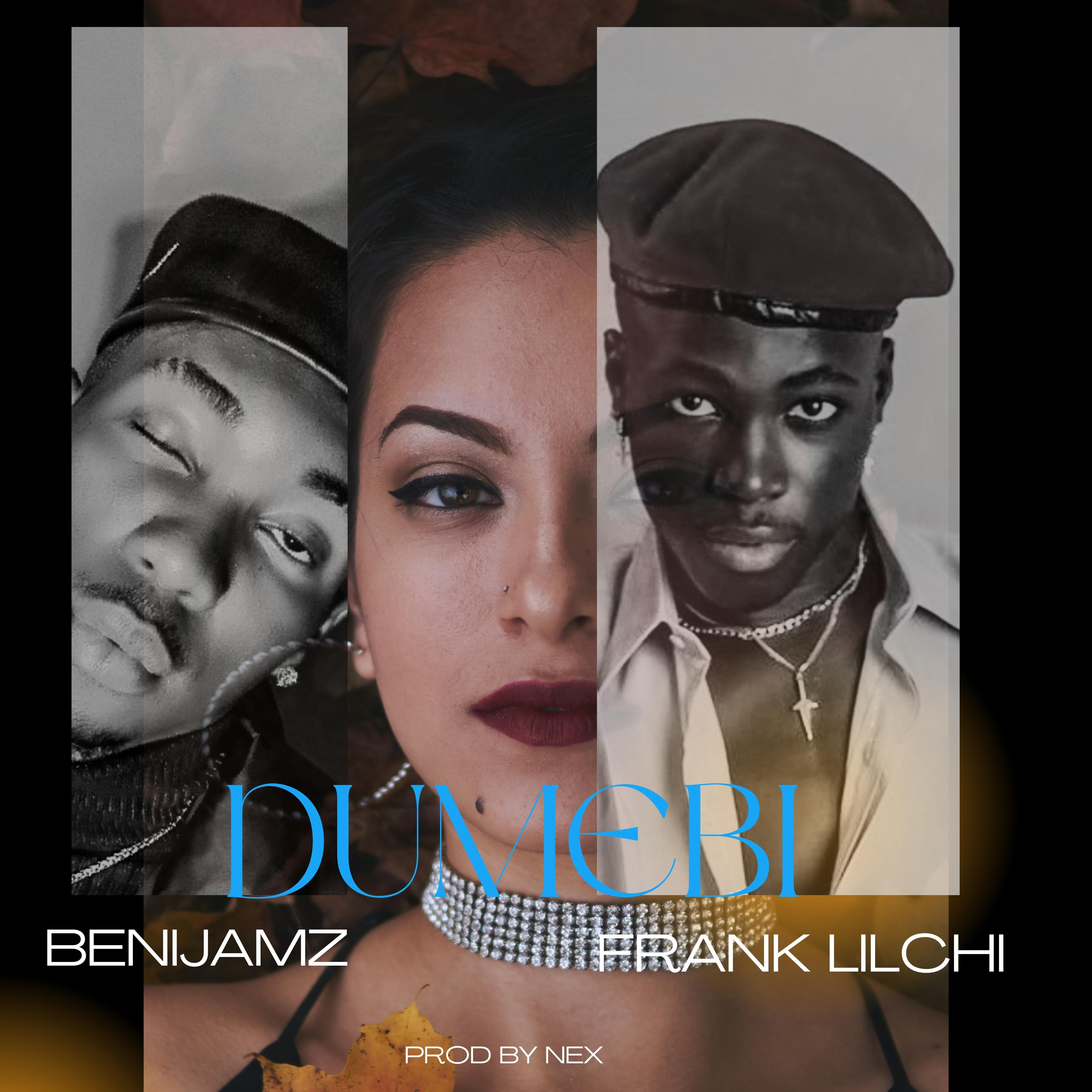 DUMEBI by Benijamz cover art