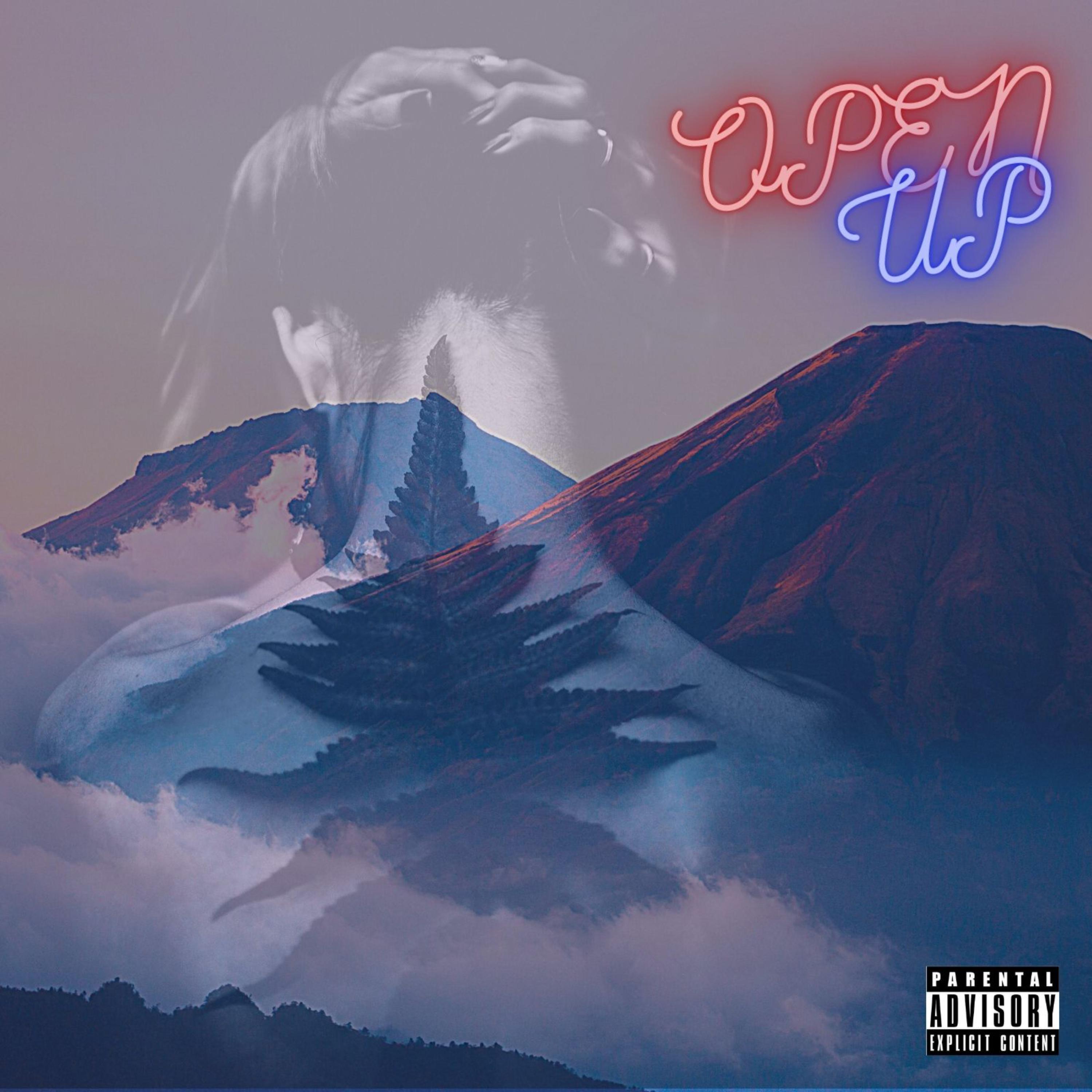 Open Up (Hustle Heart) by Reggy cover art