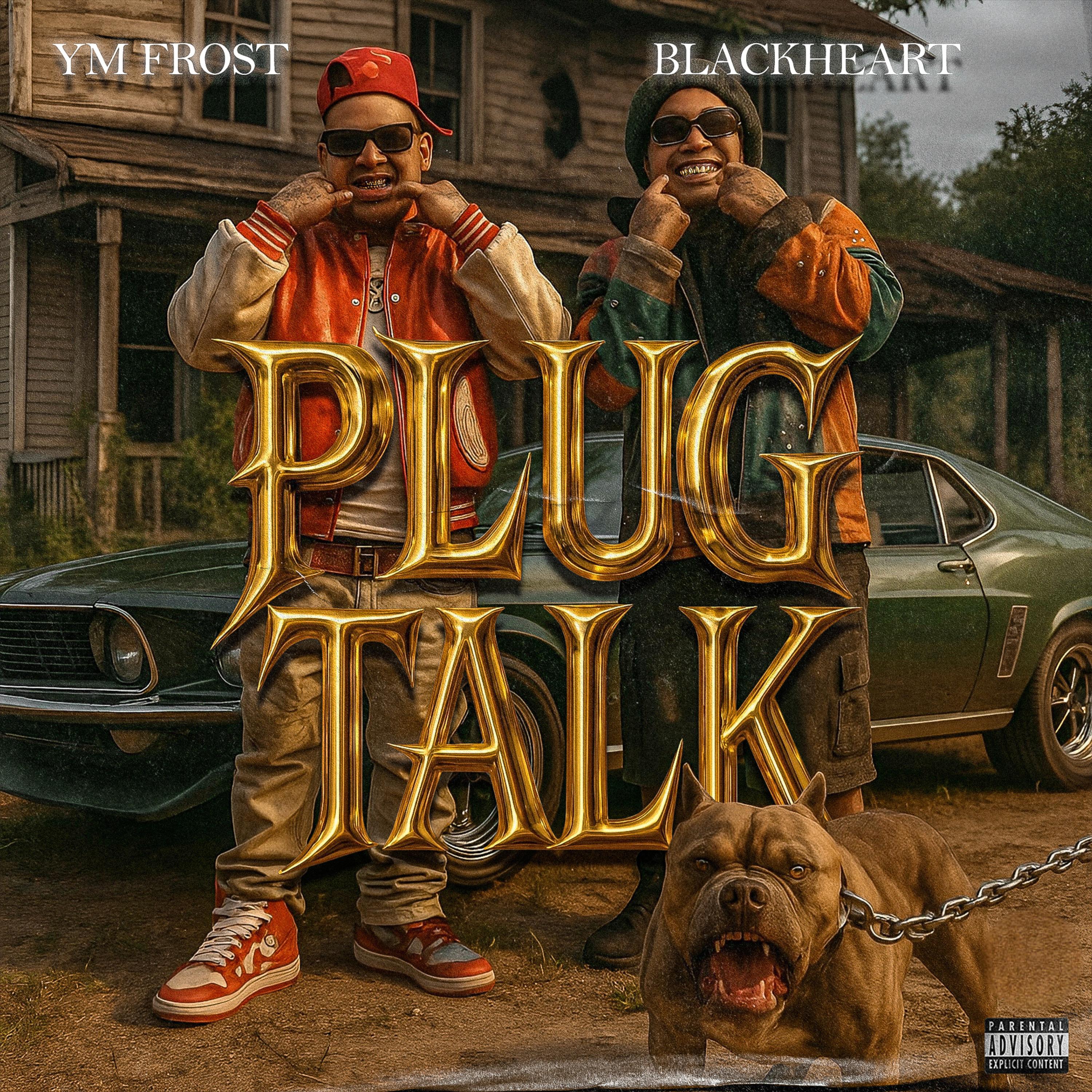 Plug Talk artwork