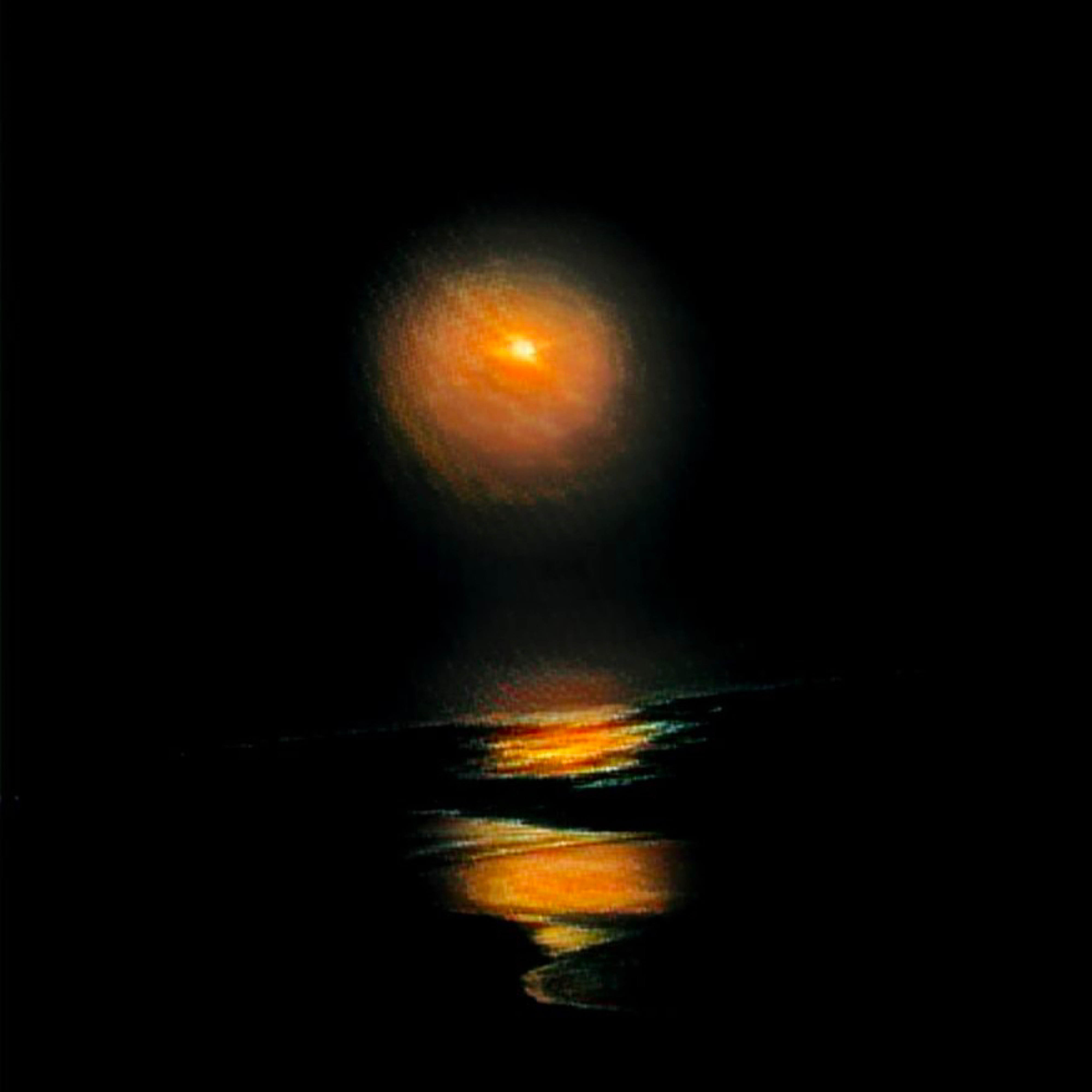 Nocturnal Radiance artwork