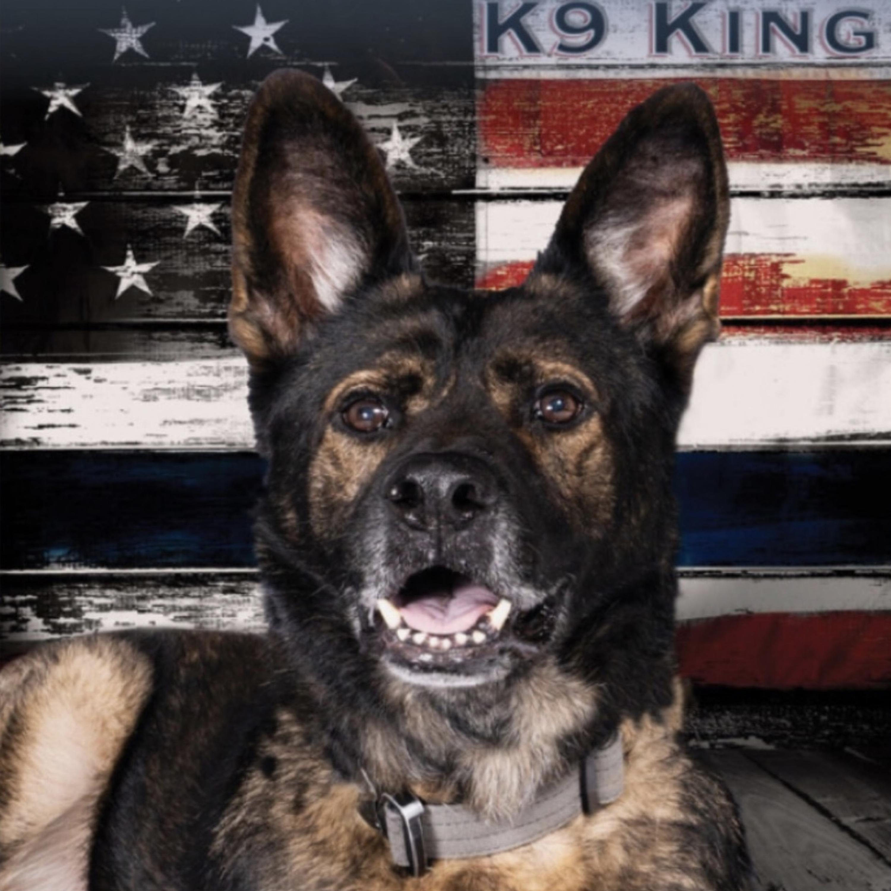 K9 artwork