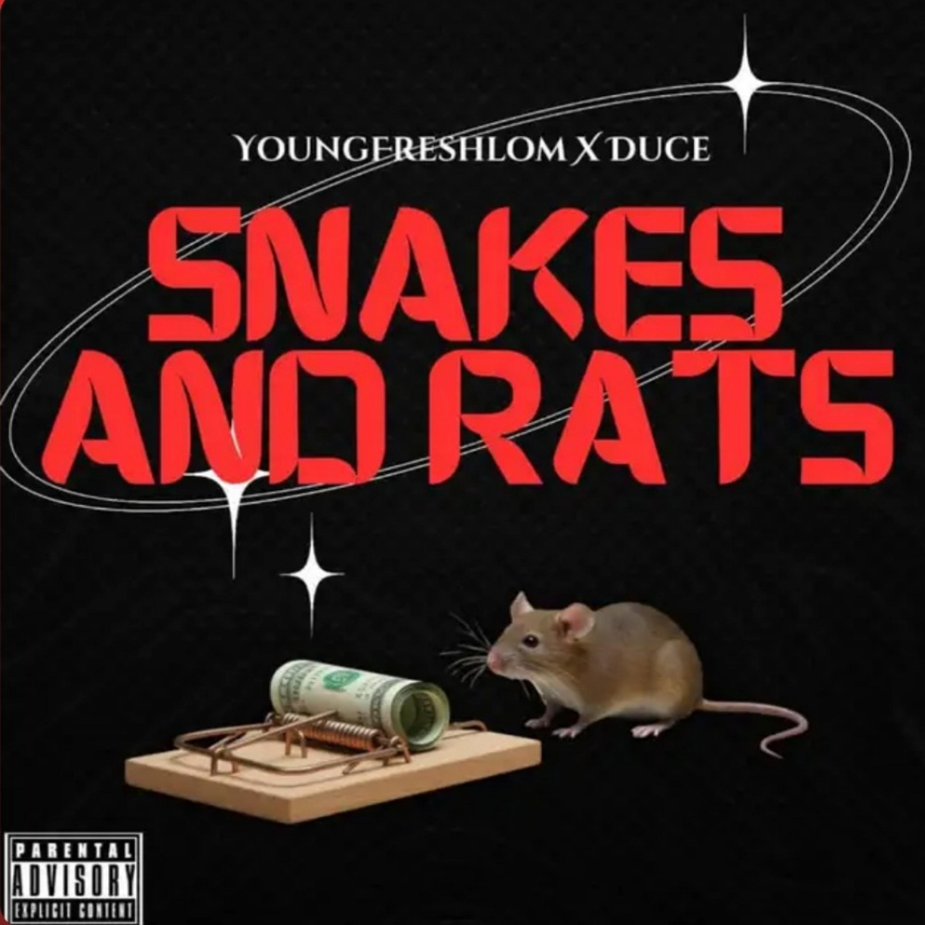 Snakes And Rats artwork