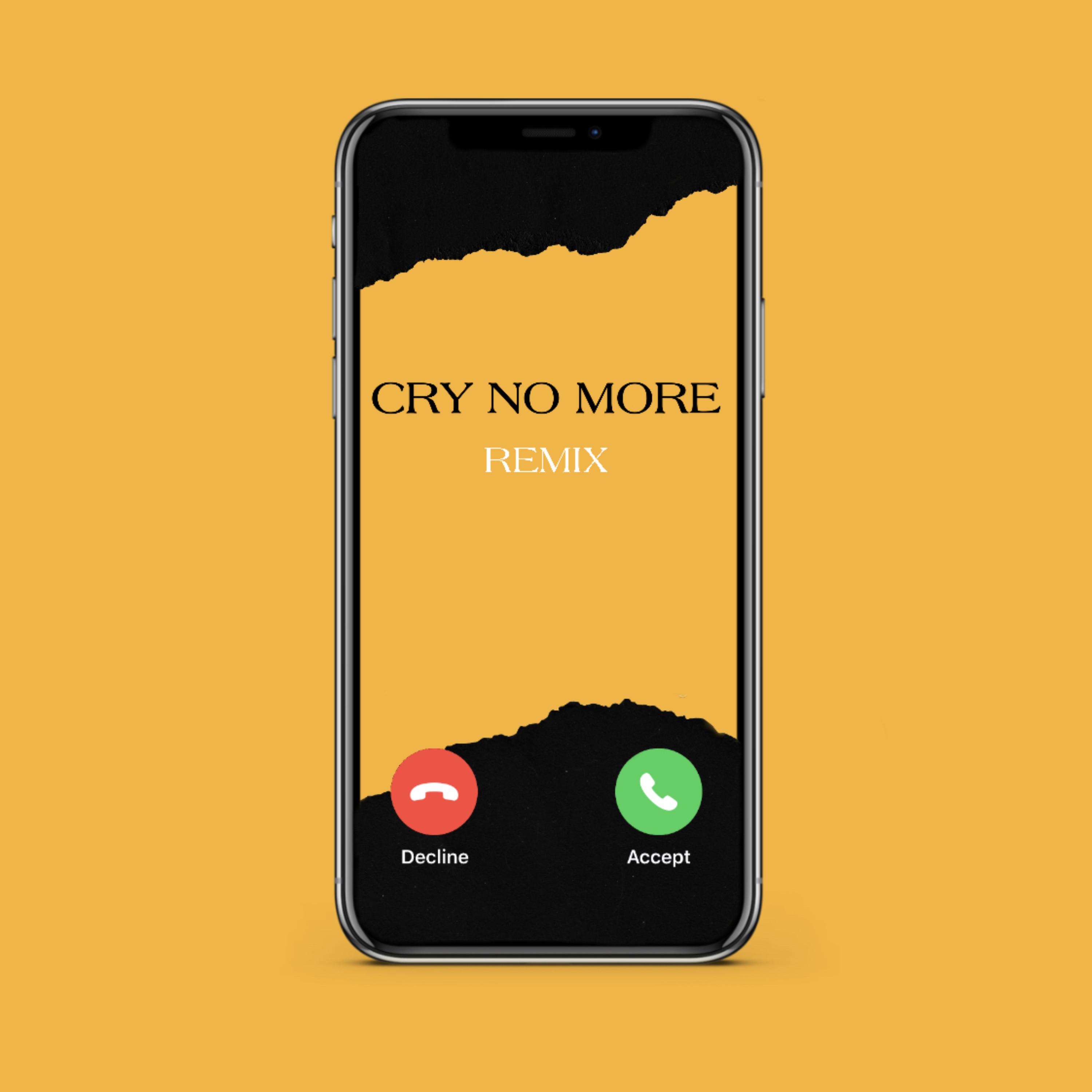 Cry No More Remix artwork