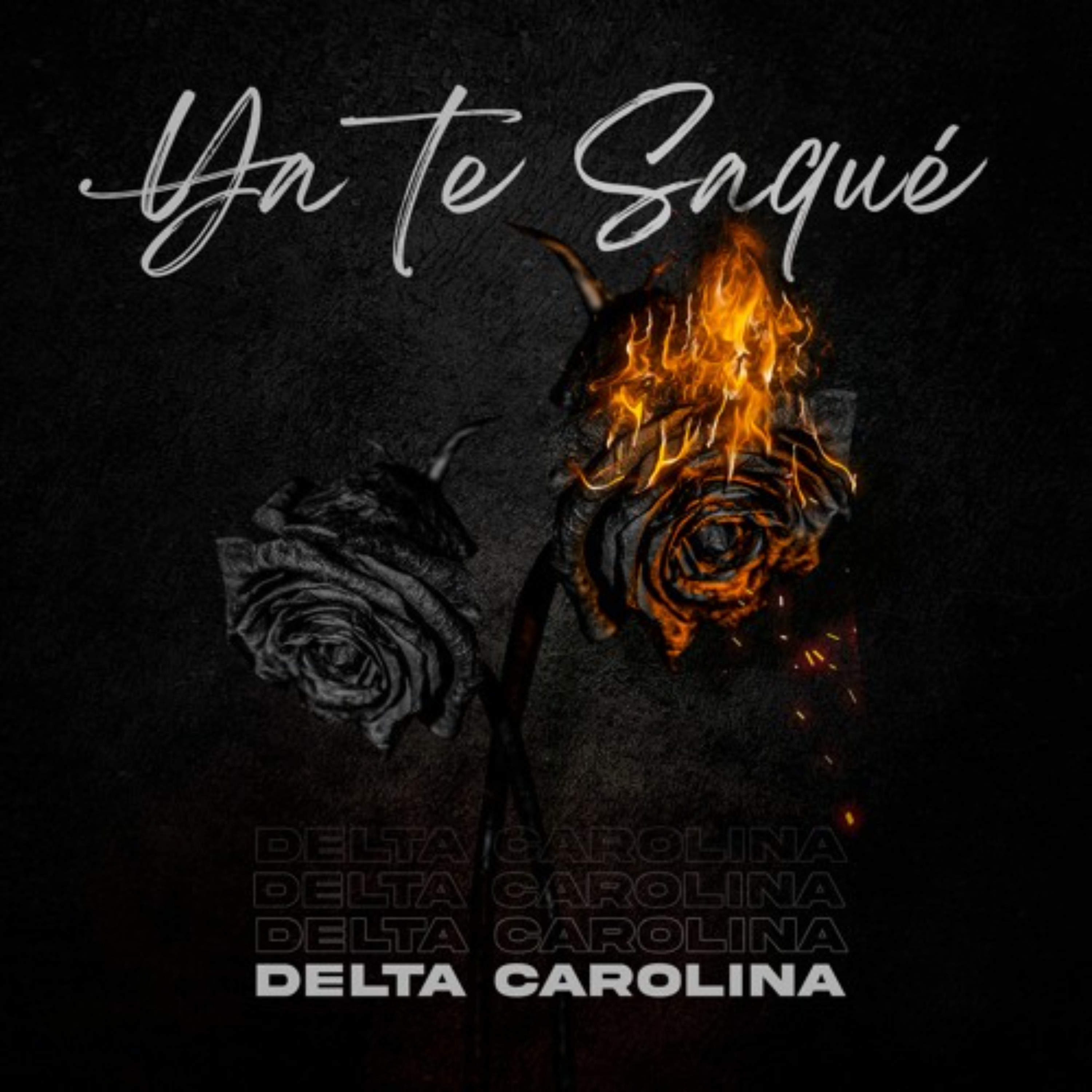 Ya Te Saqué by Delta Carolina cover art