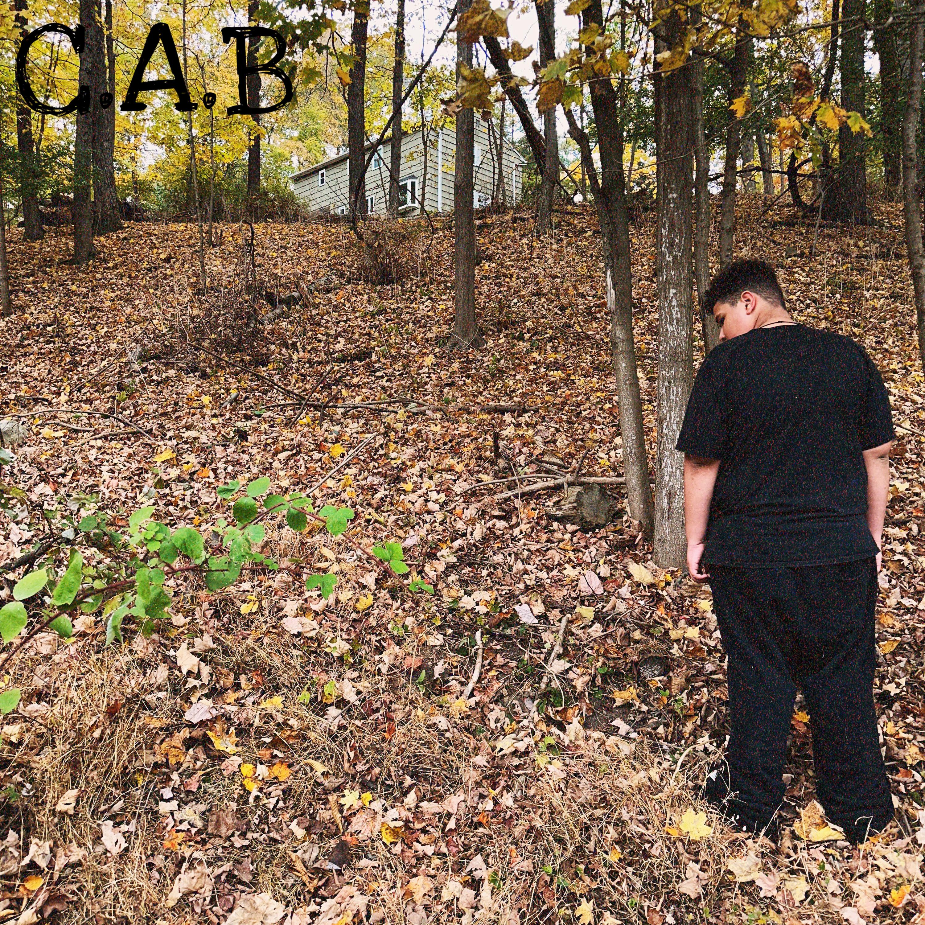 The Jxstin Tapes artwork