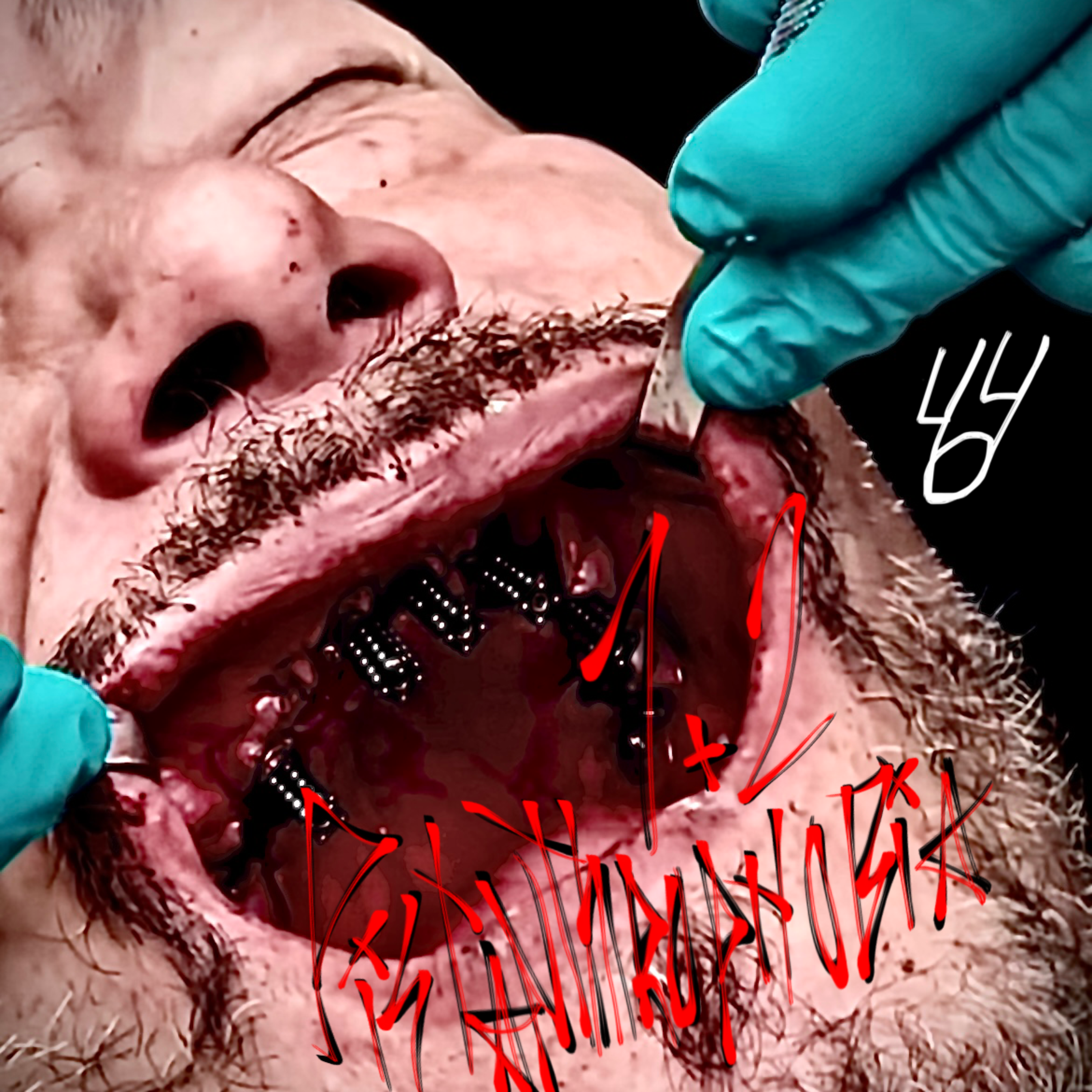PISTANTHROPHOBIA 1+2 artwork