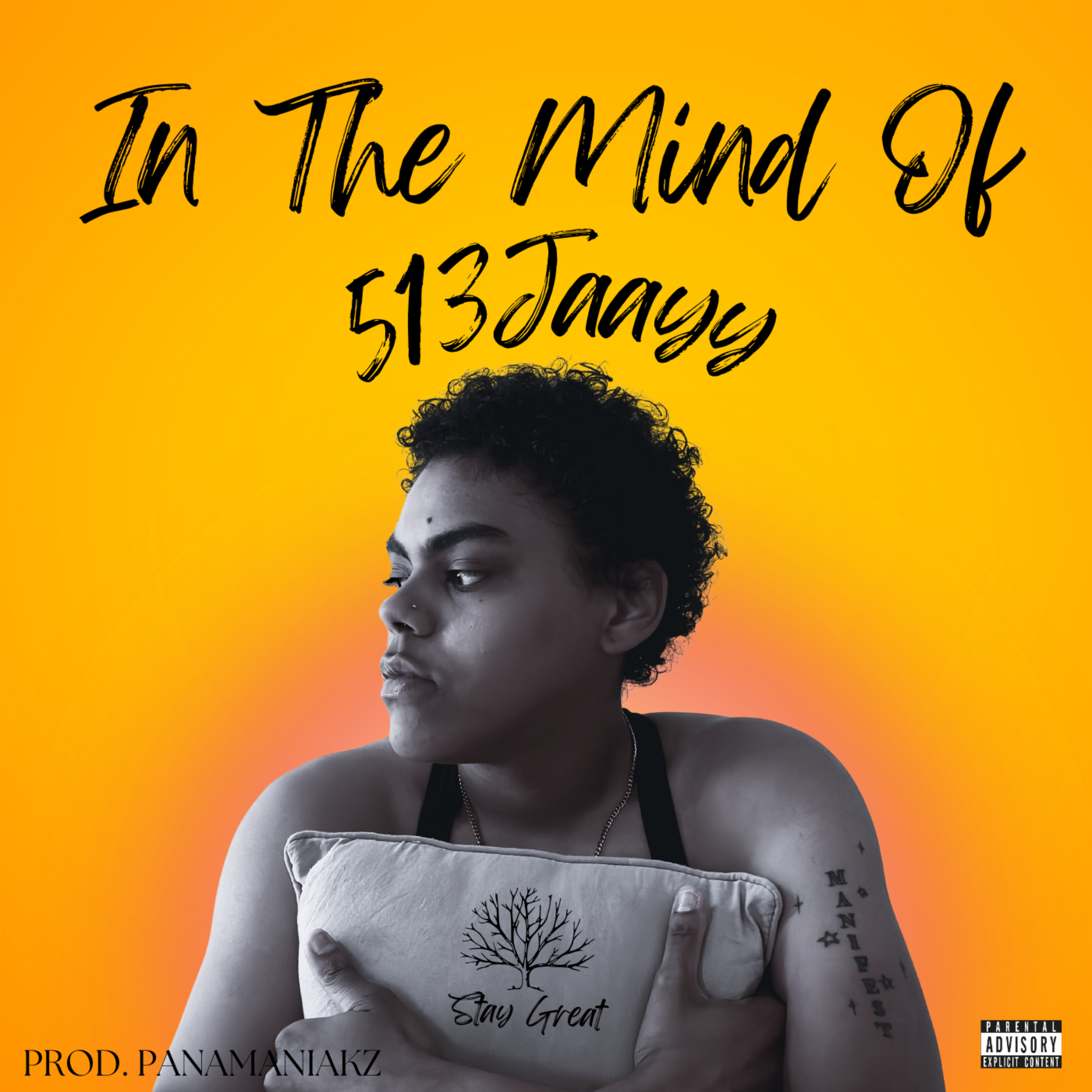In The Mind Of 513Jaayy artwork