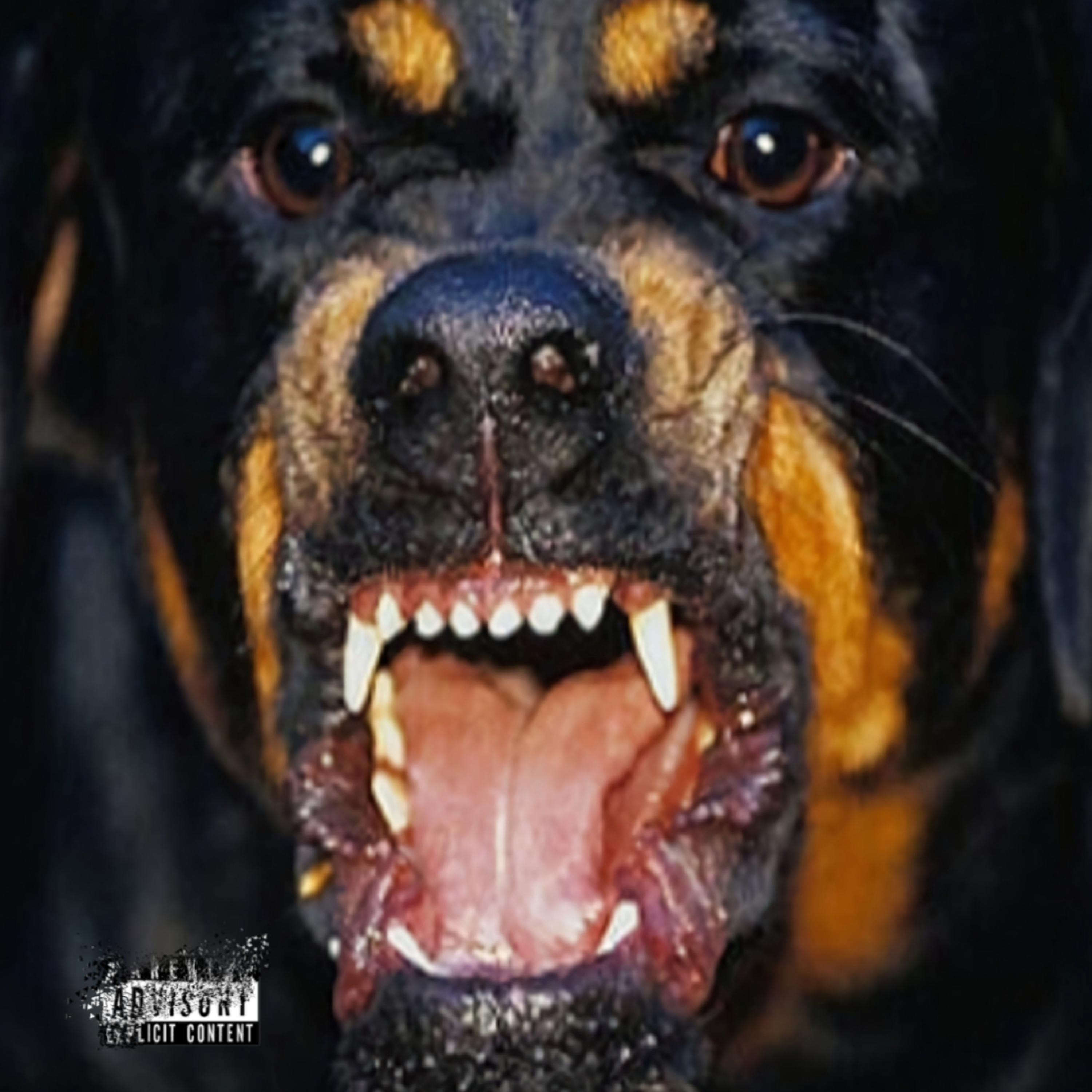 BIG DOG SHIT artwork