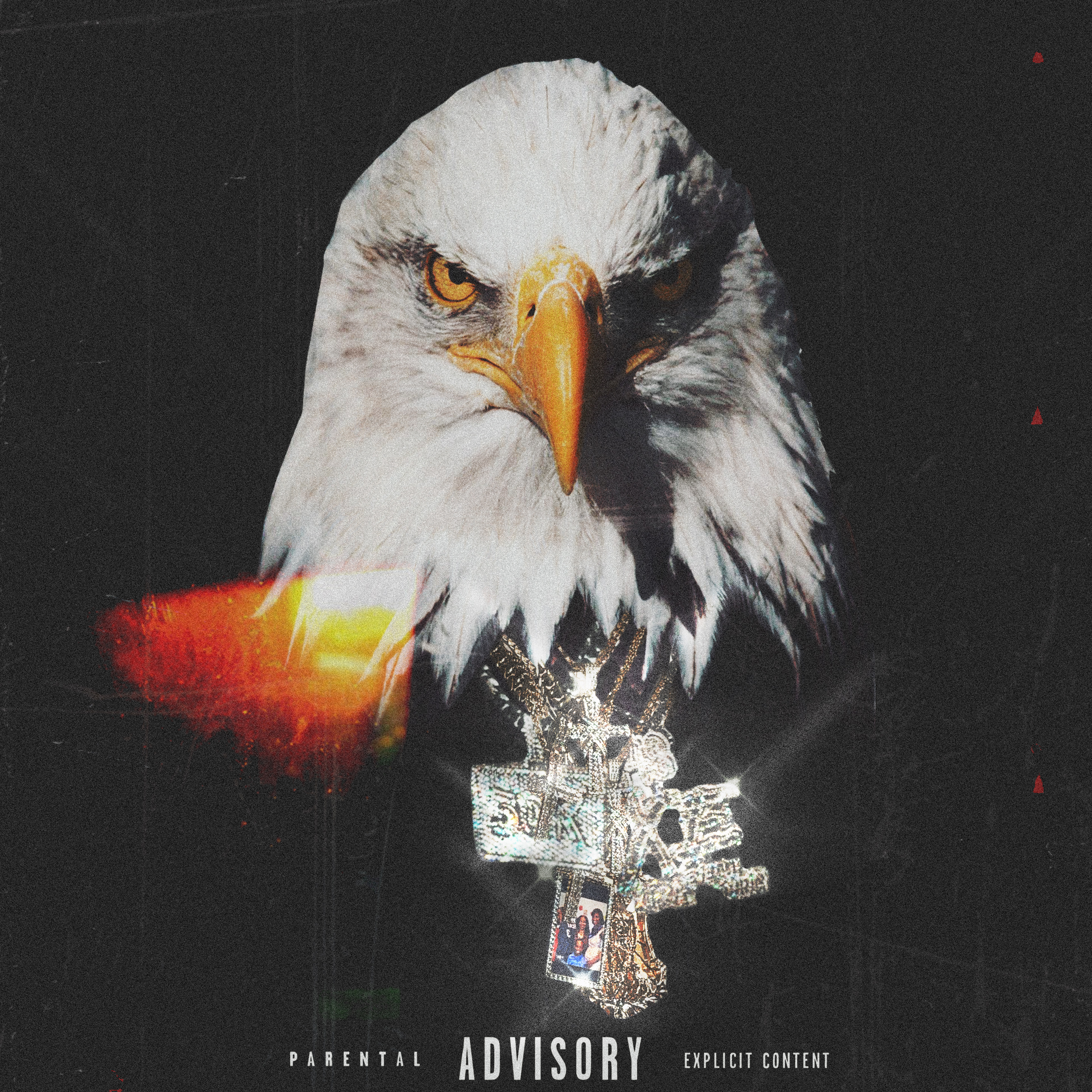 Vulture Style 2 artwork