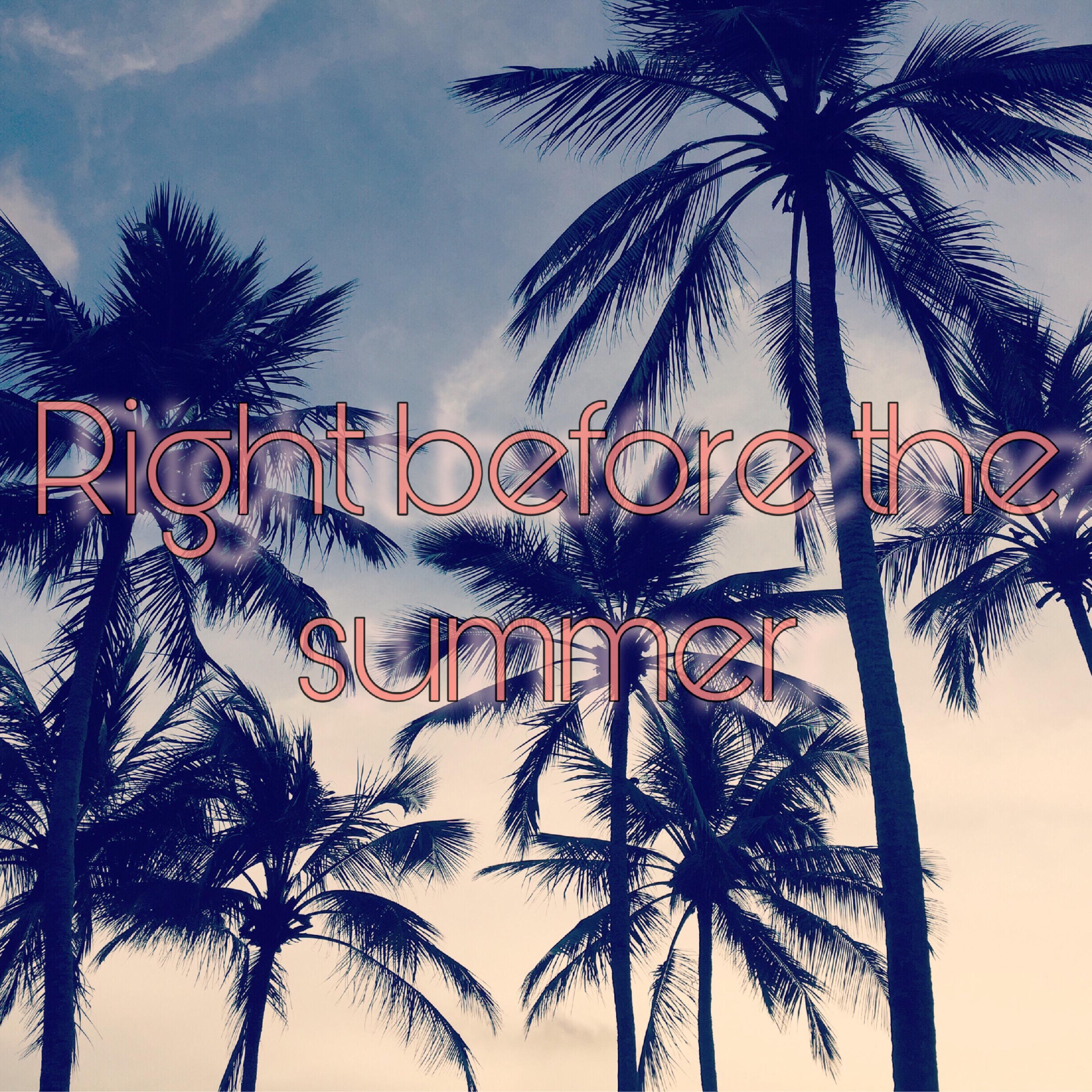 Before The Summer artwork