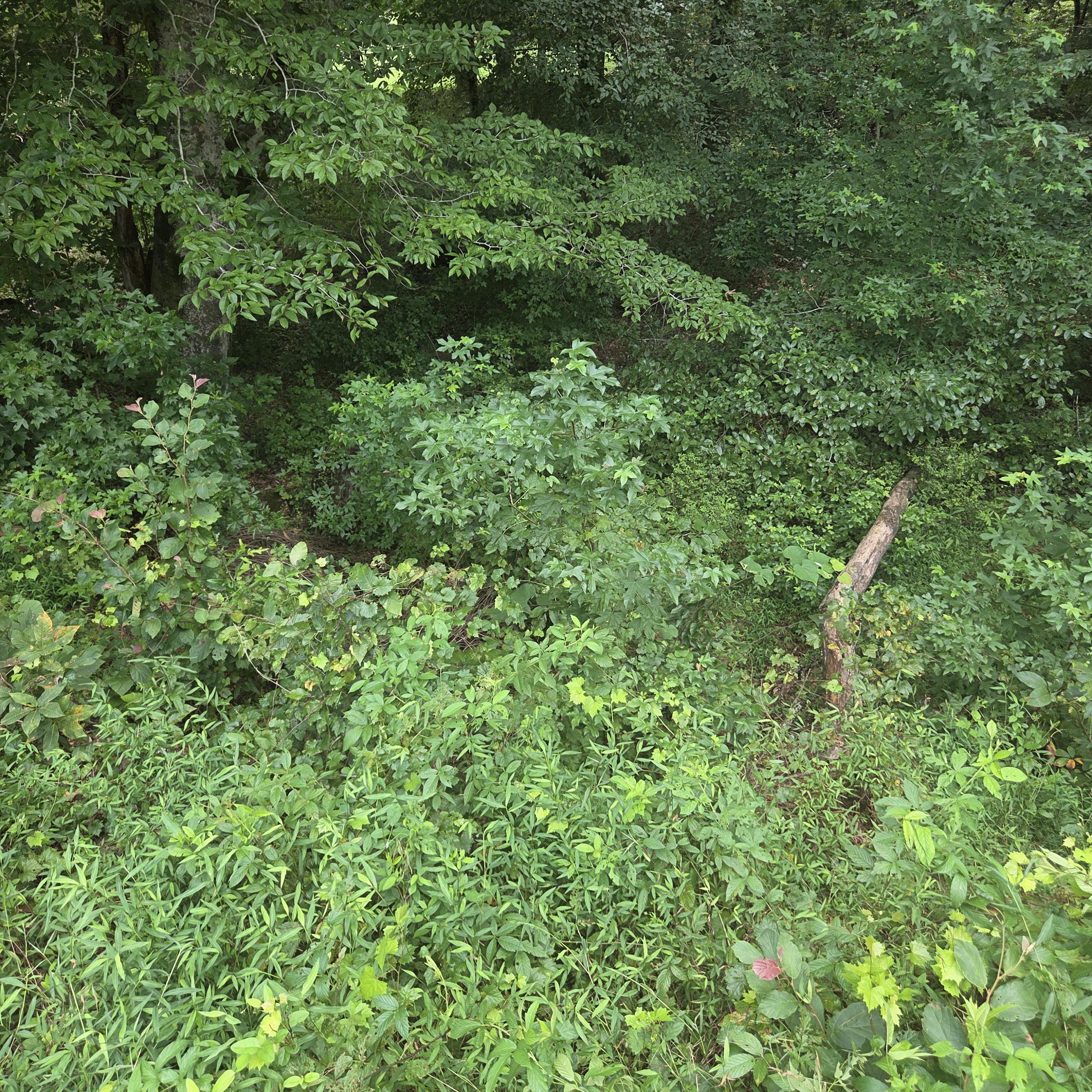 you left my heart on the sholder artwork