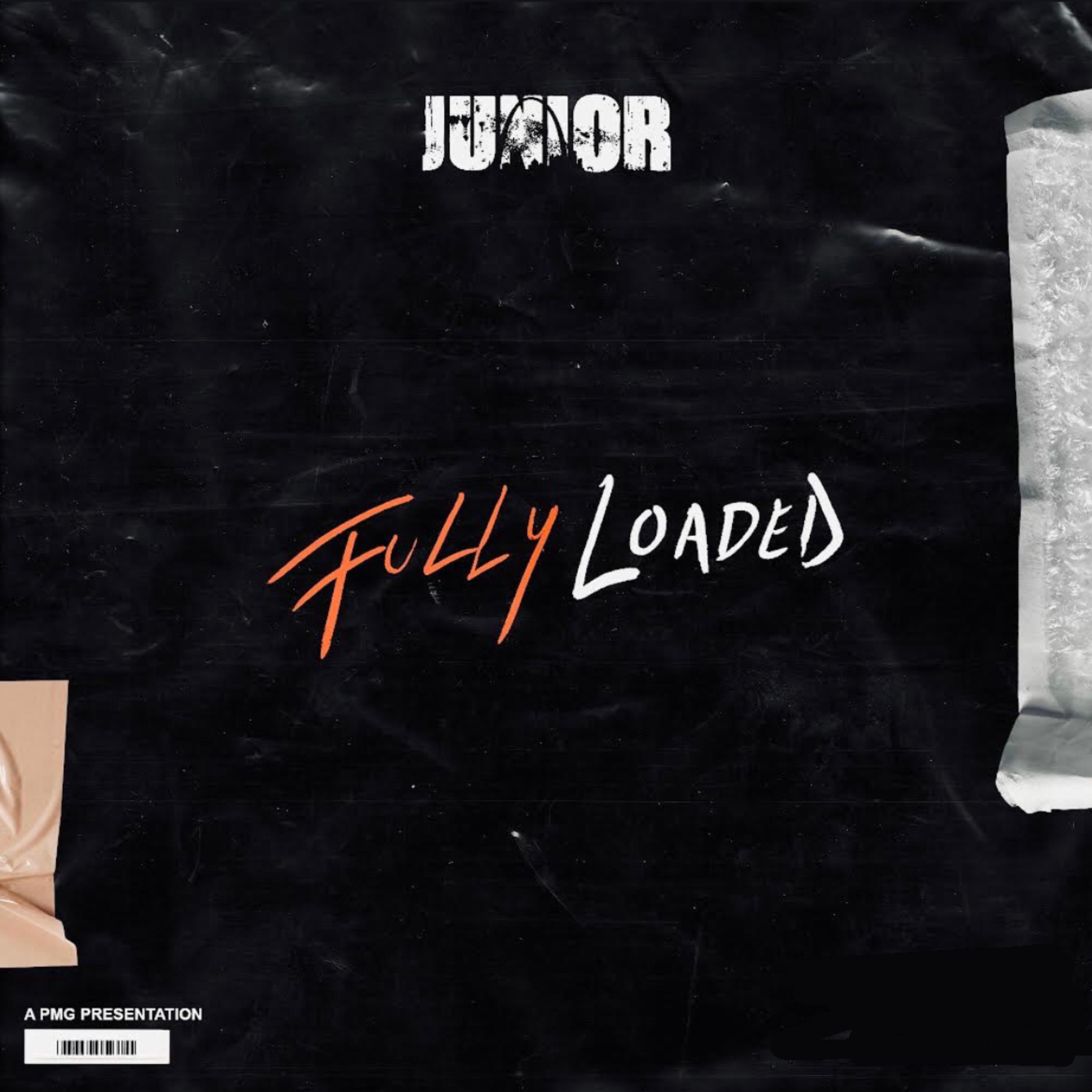 Fully Loadedd artwork