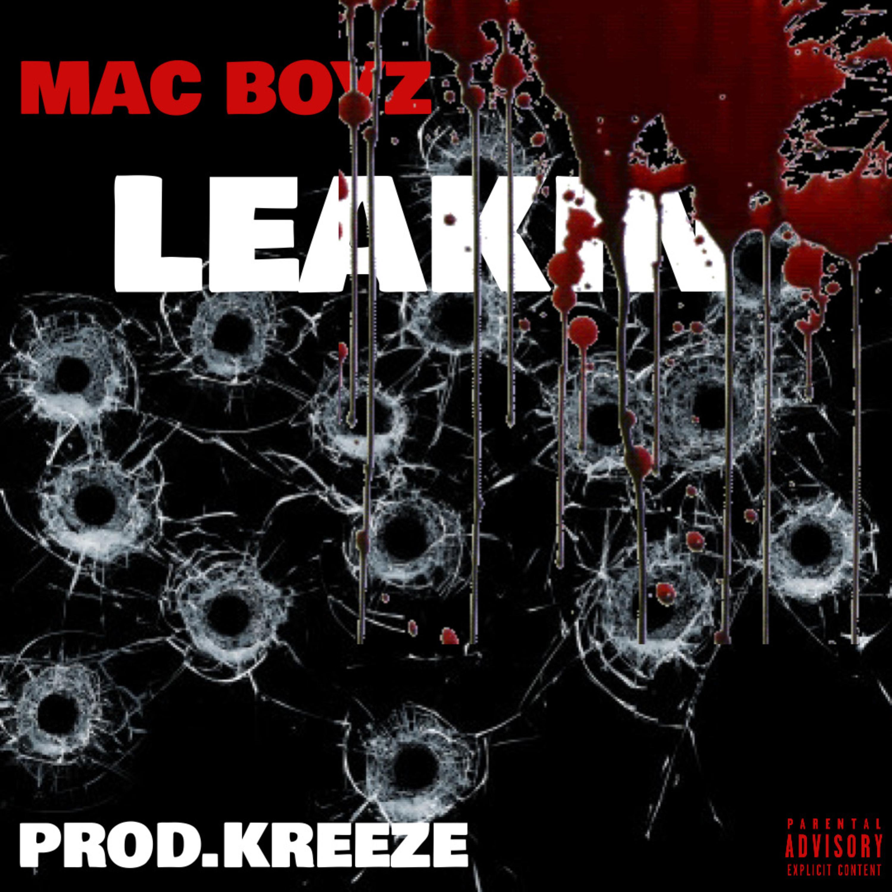 Leakin artwork