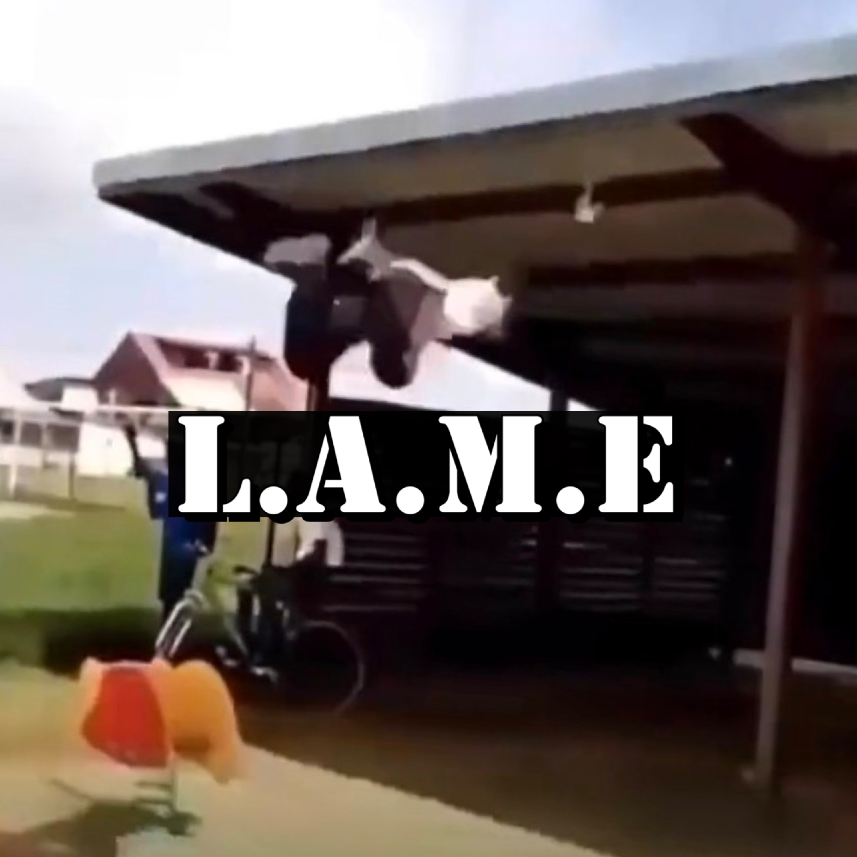 L.a.m.e artwork