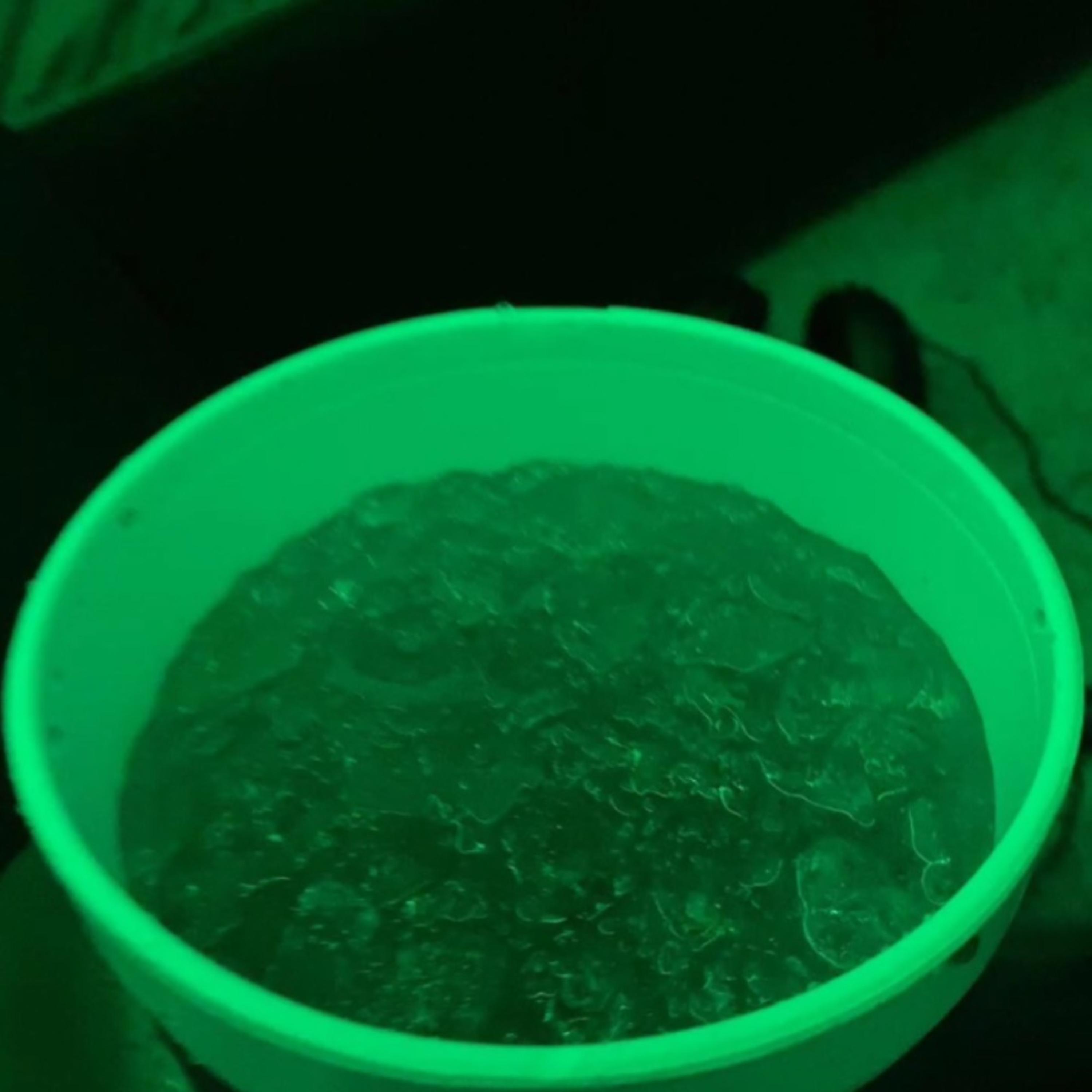 Codeine Schemes(Sorry 4 The Wait) artwork