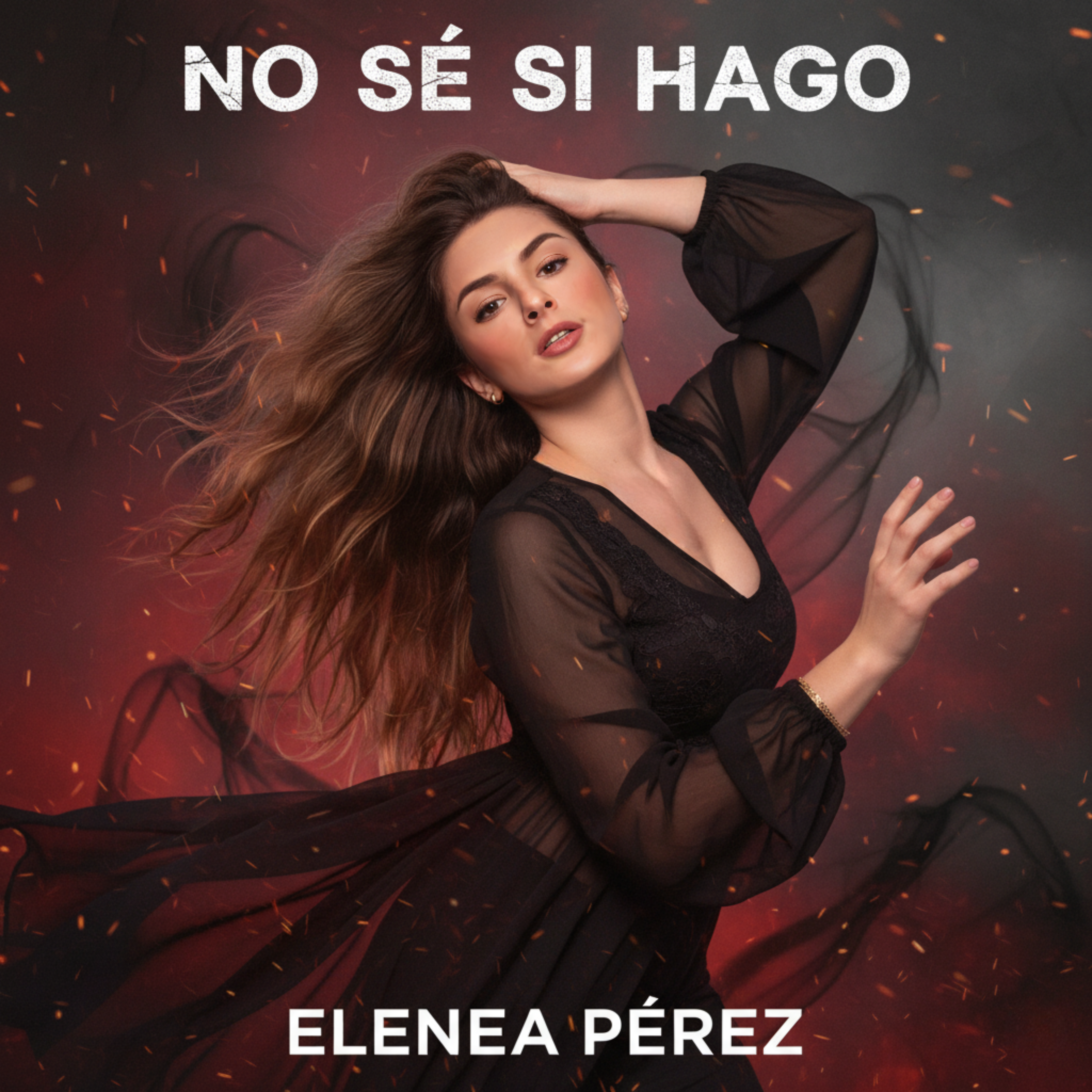 No Sé Si Hago artwork