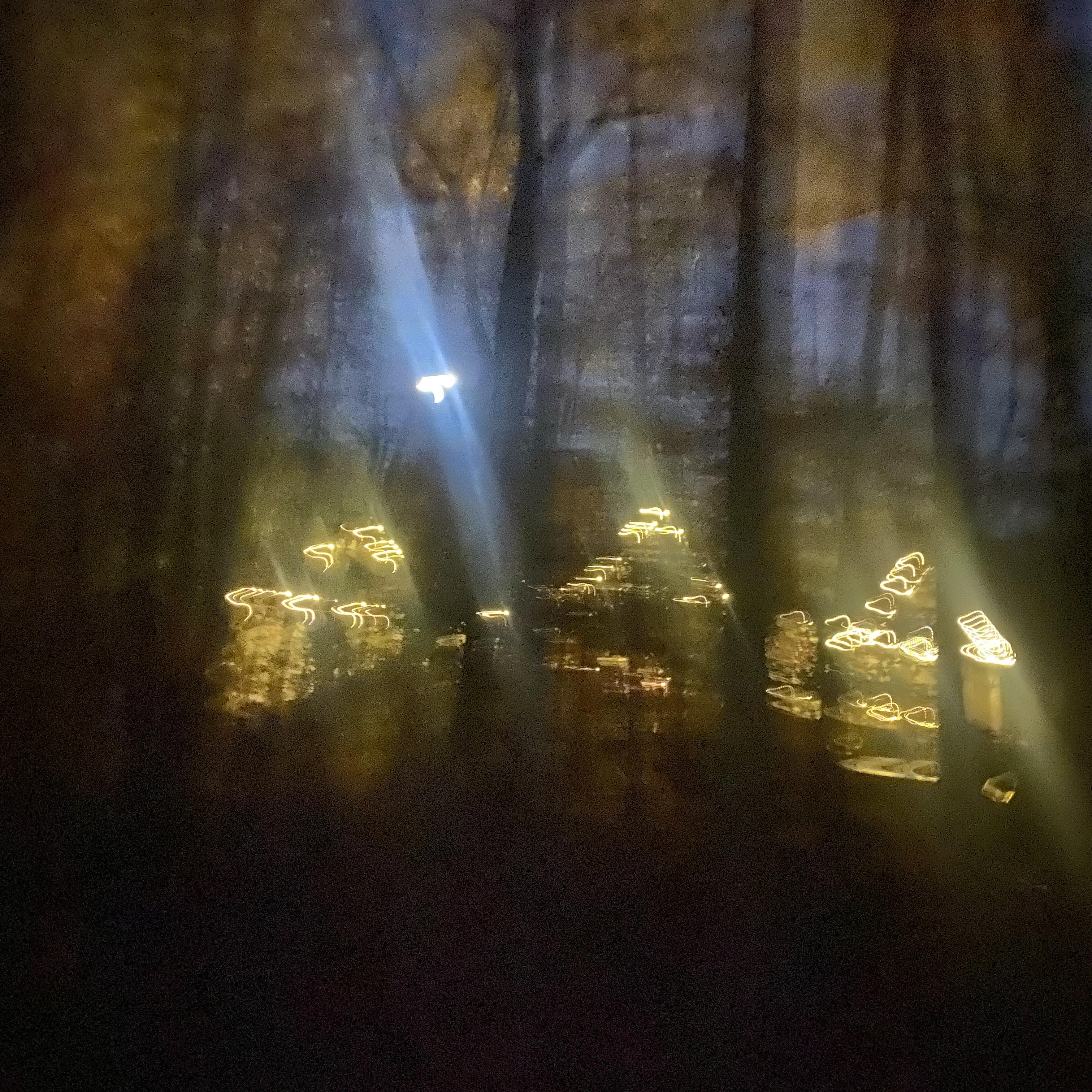 Dreamfasting artwork