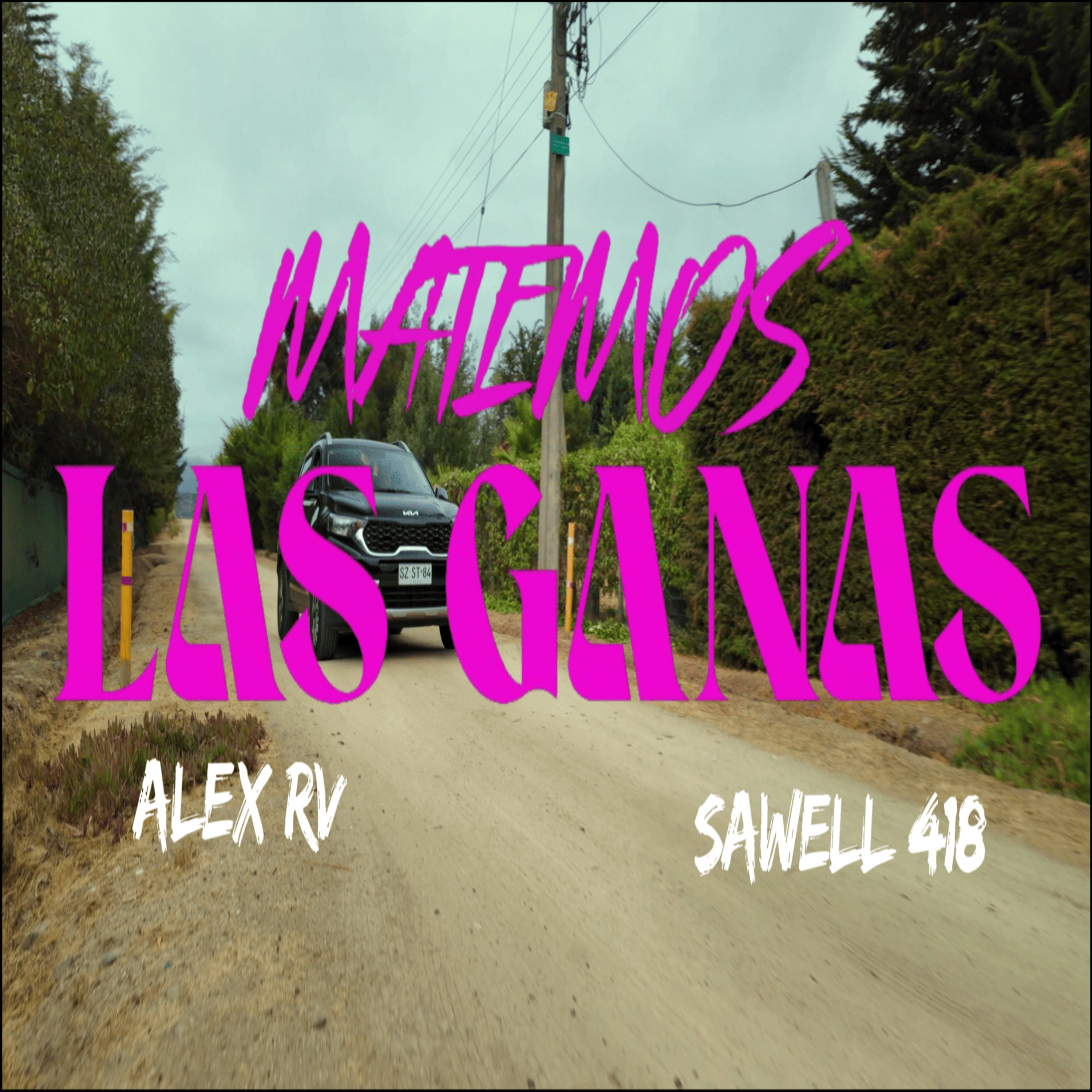 Matemos Las Ganas artwork