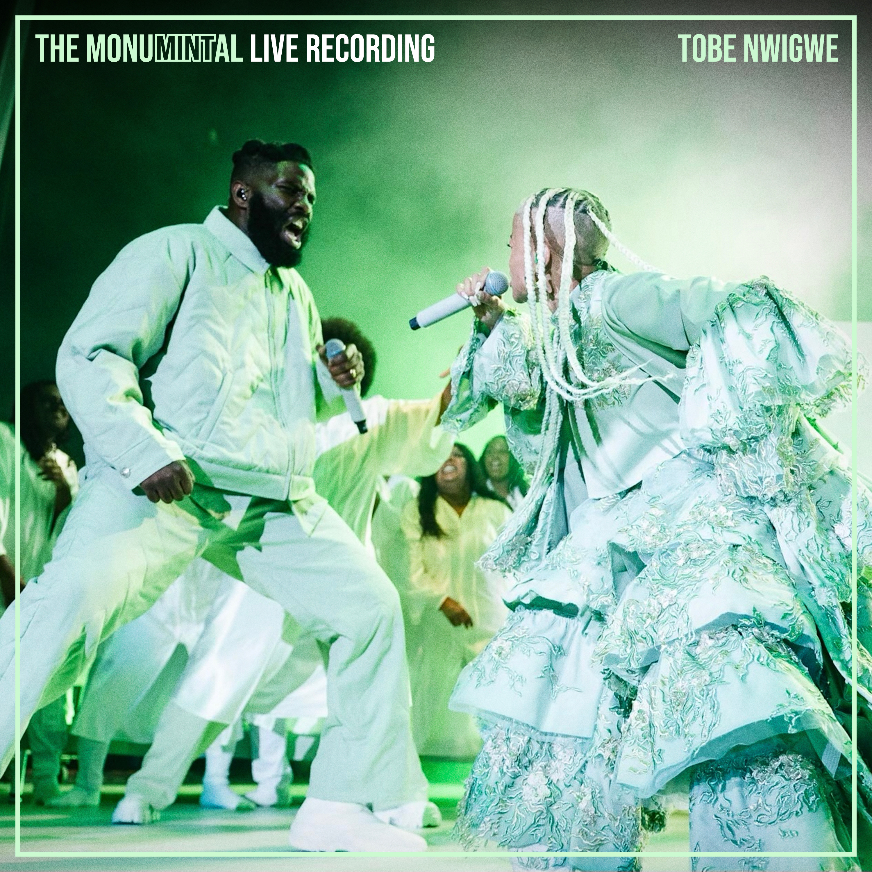 THE MONUMINTAL LIVE RECORDING artwork