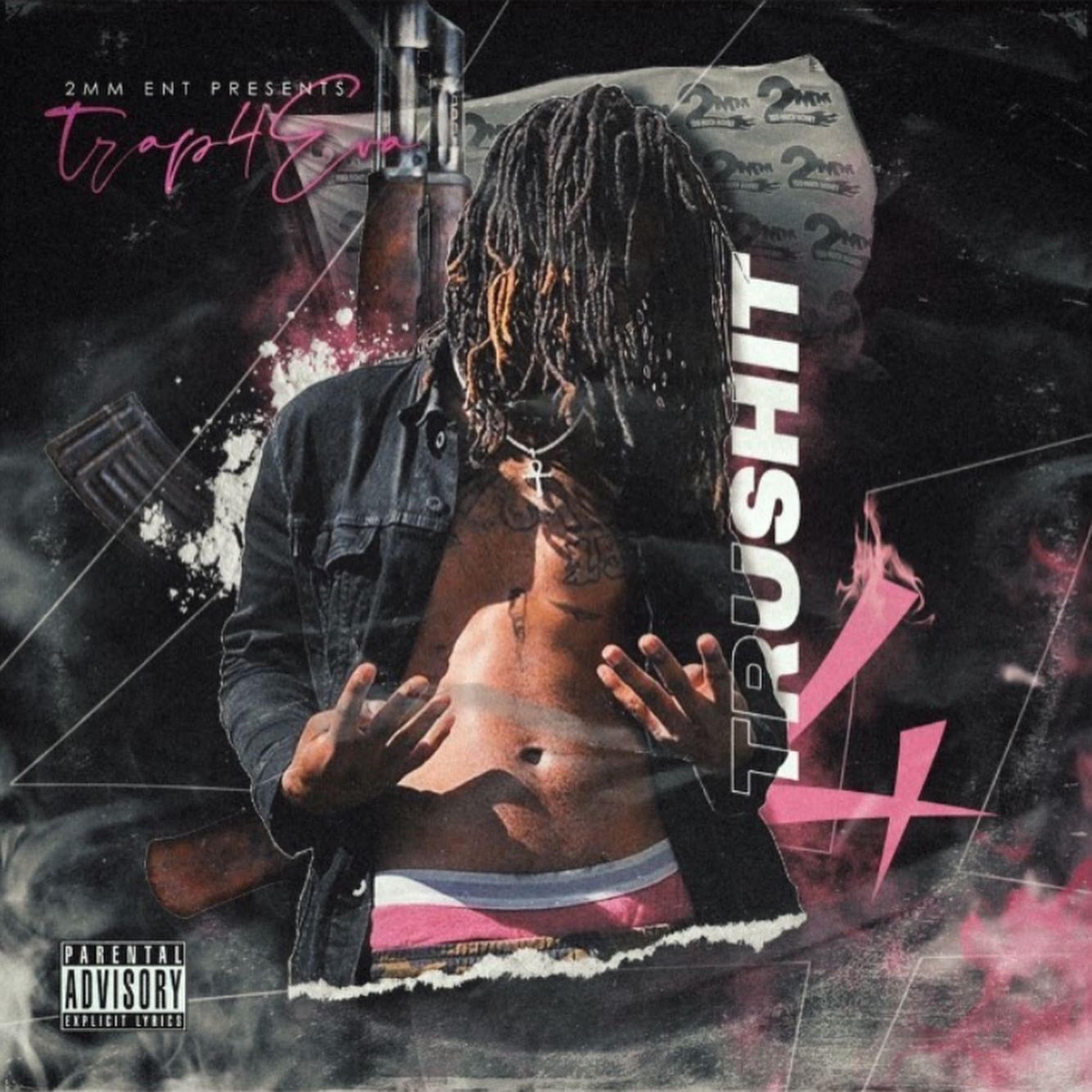 TruShit4 artwork