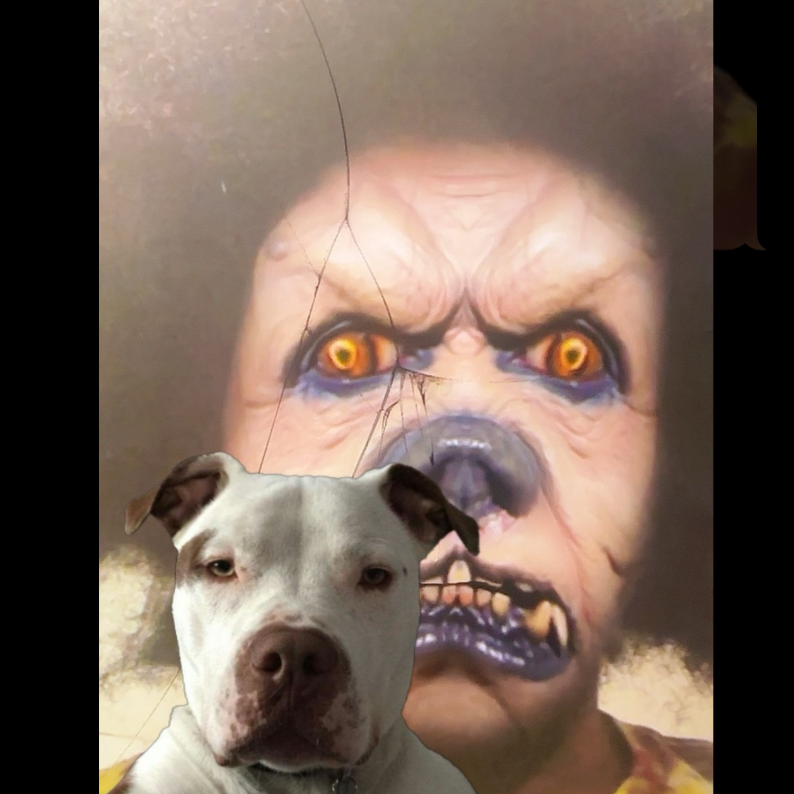 DOGGER TALK by Johnny Nalls cover art